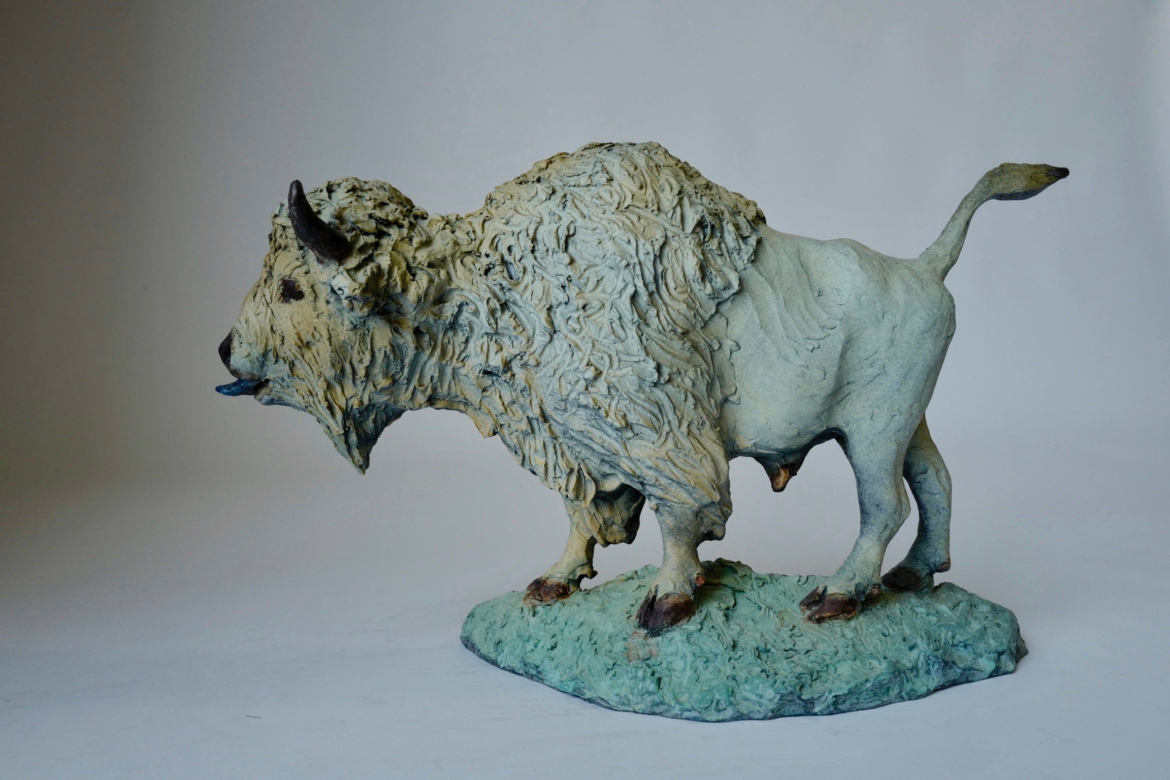 Bold Bison Bull 2:9.jpeg