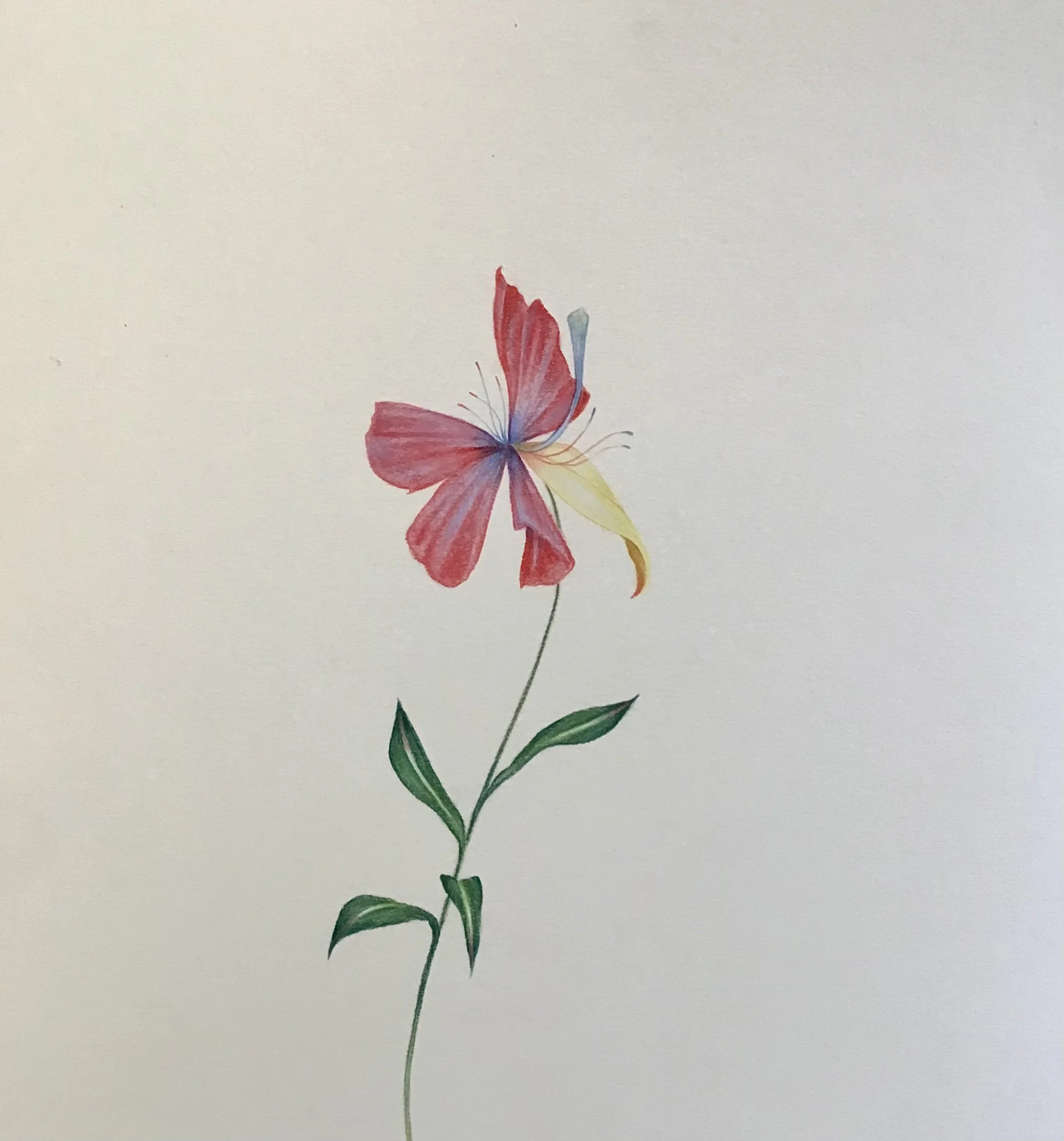 Fantasy_Flower_Leshten2 .jpeg