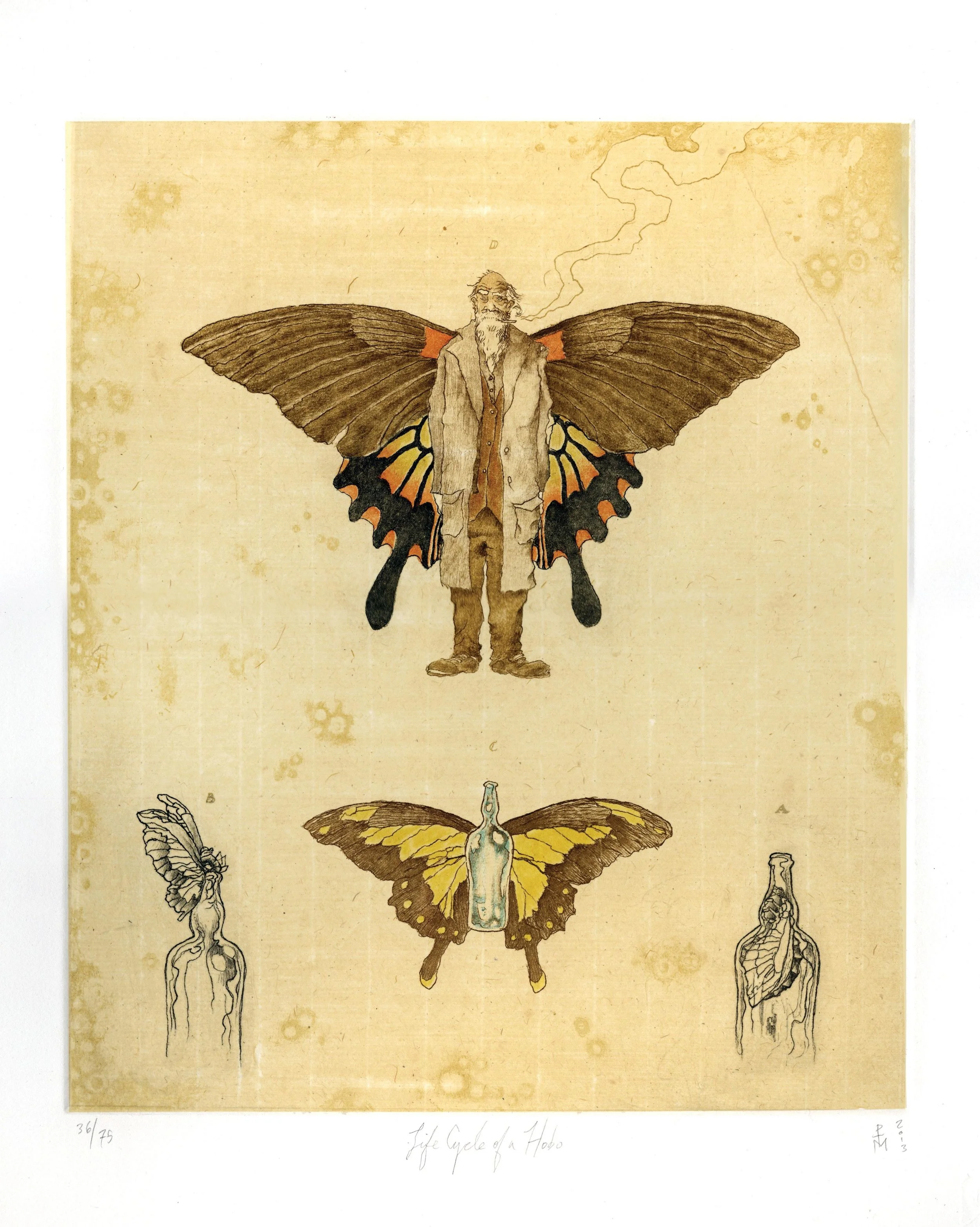 Paul Morstad |  Life Cycle of a Hobo
