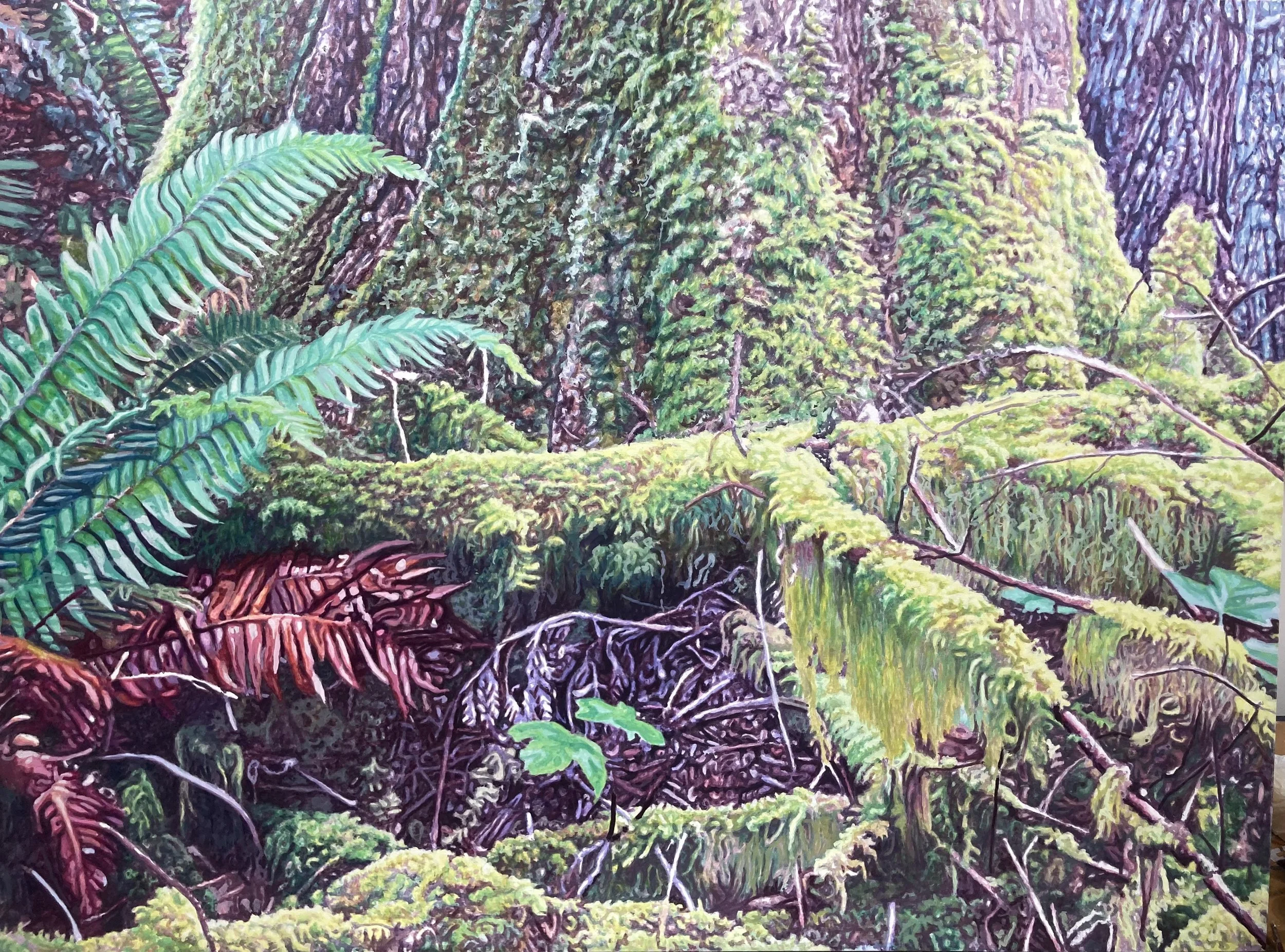 Ward Schell | Cathedral Grove