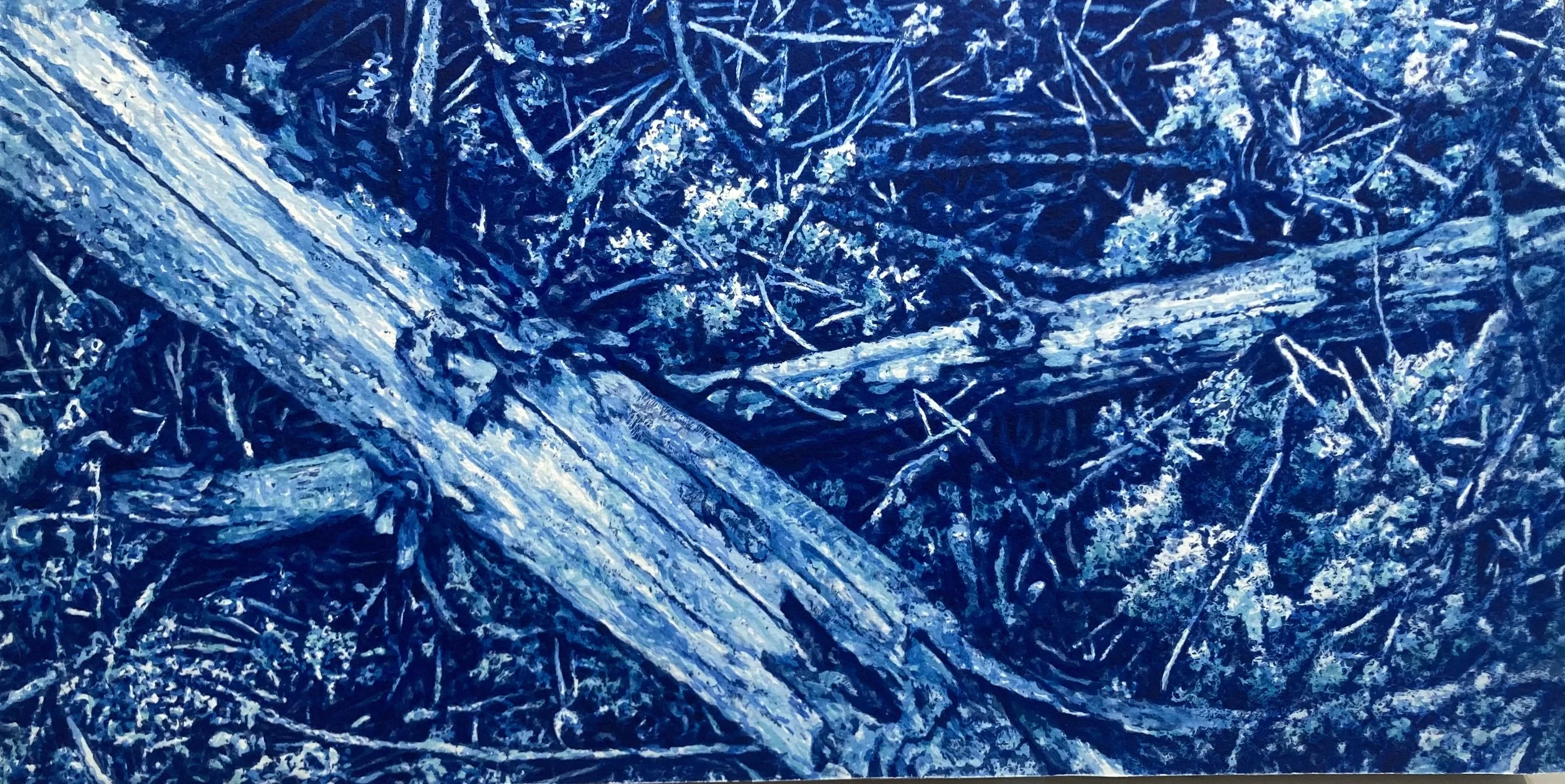 Ward Schell | Forest Fractured