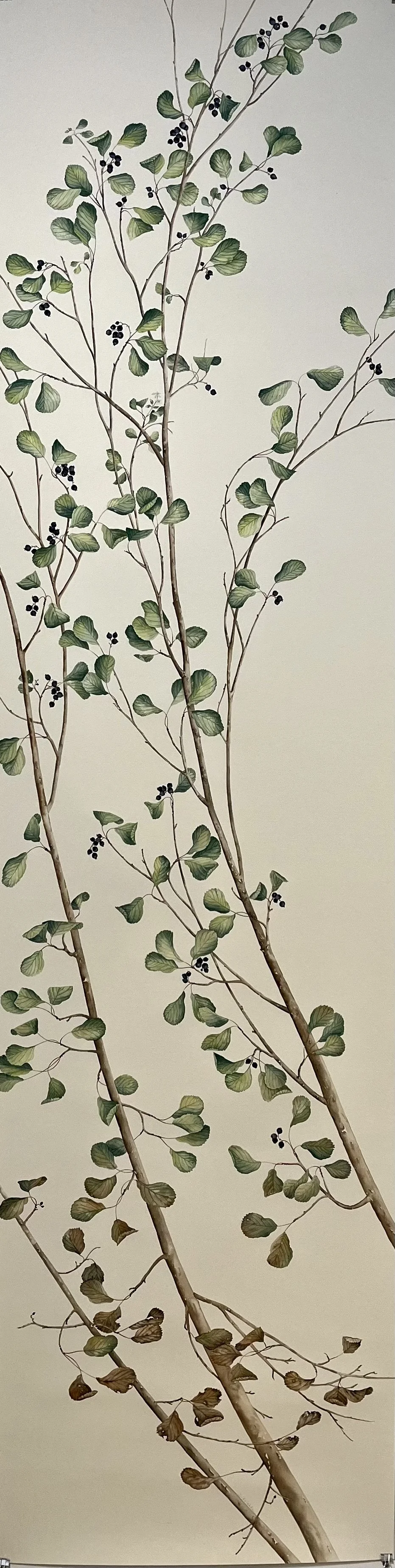 Donna Kriekle | July