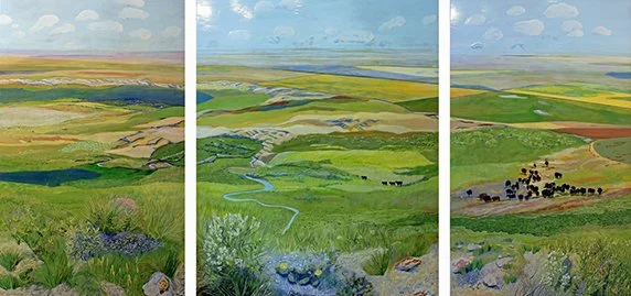 grasslands.jpg