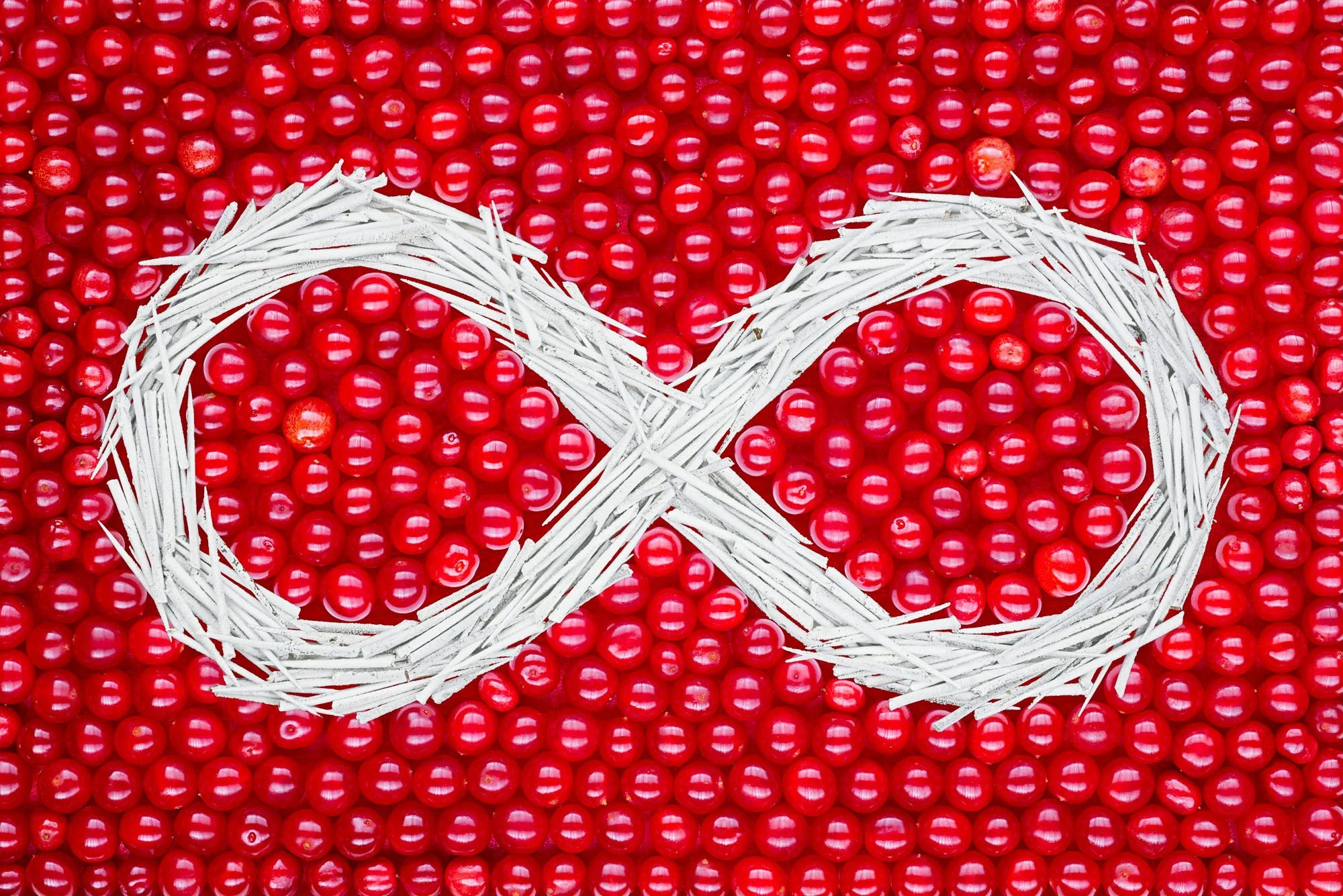 Daphne Boyer  | Métis Hunting Flag