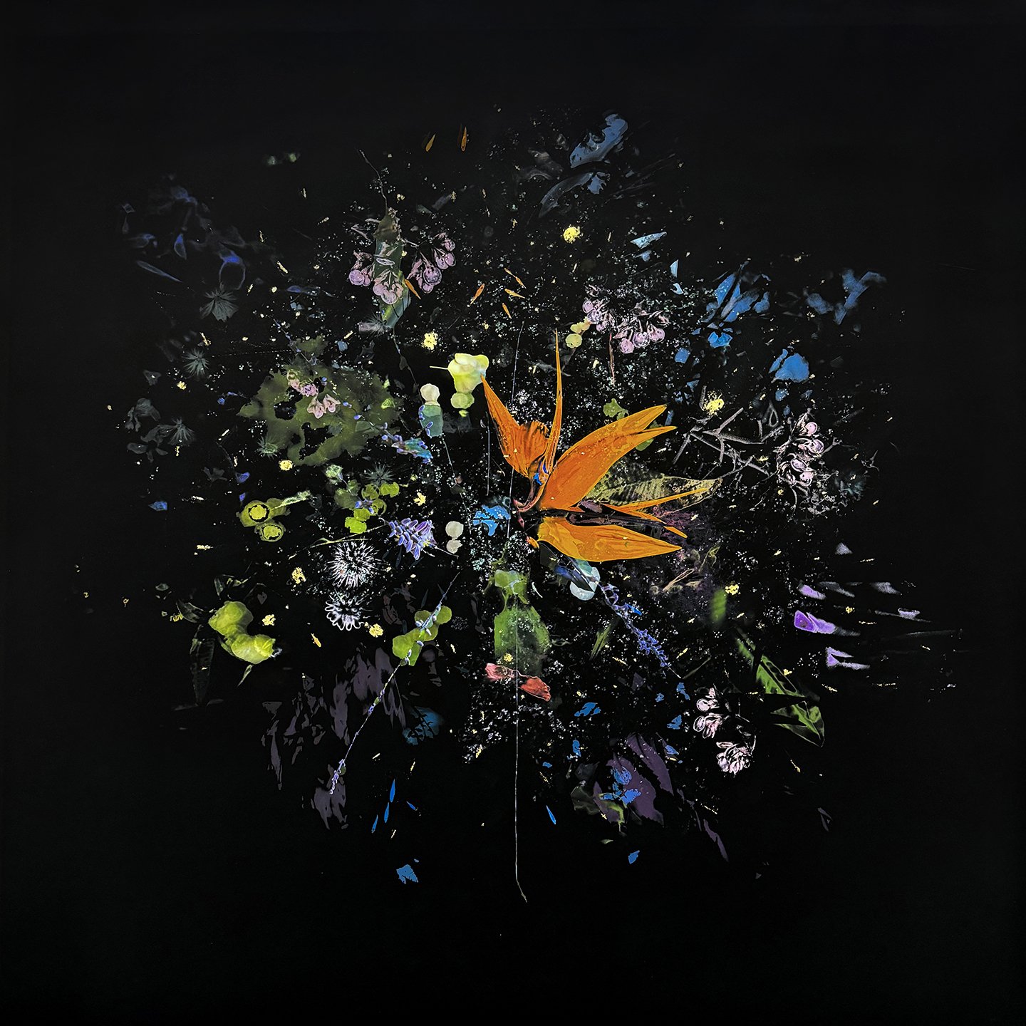 Gabriela Garcia-Luna