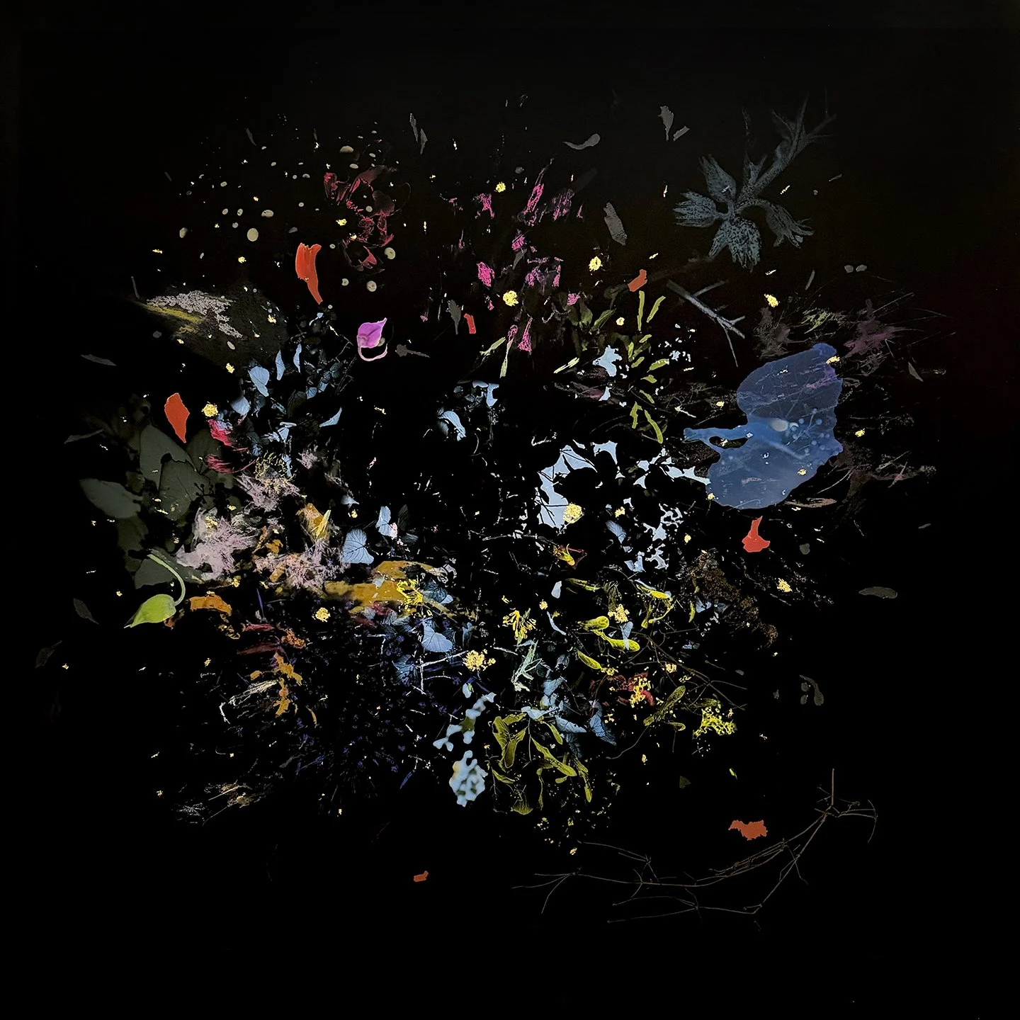 Gabriela Garcia-Luna