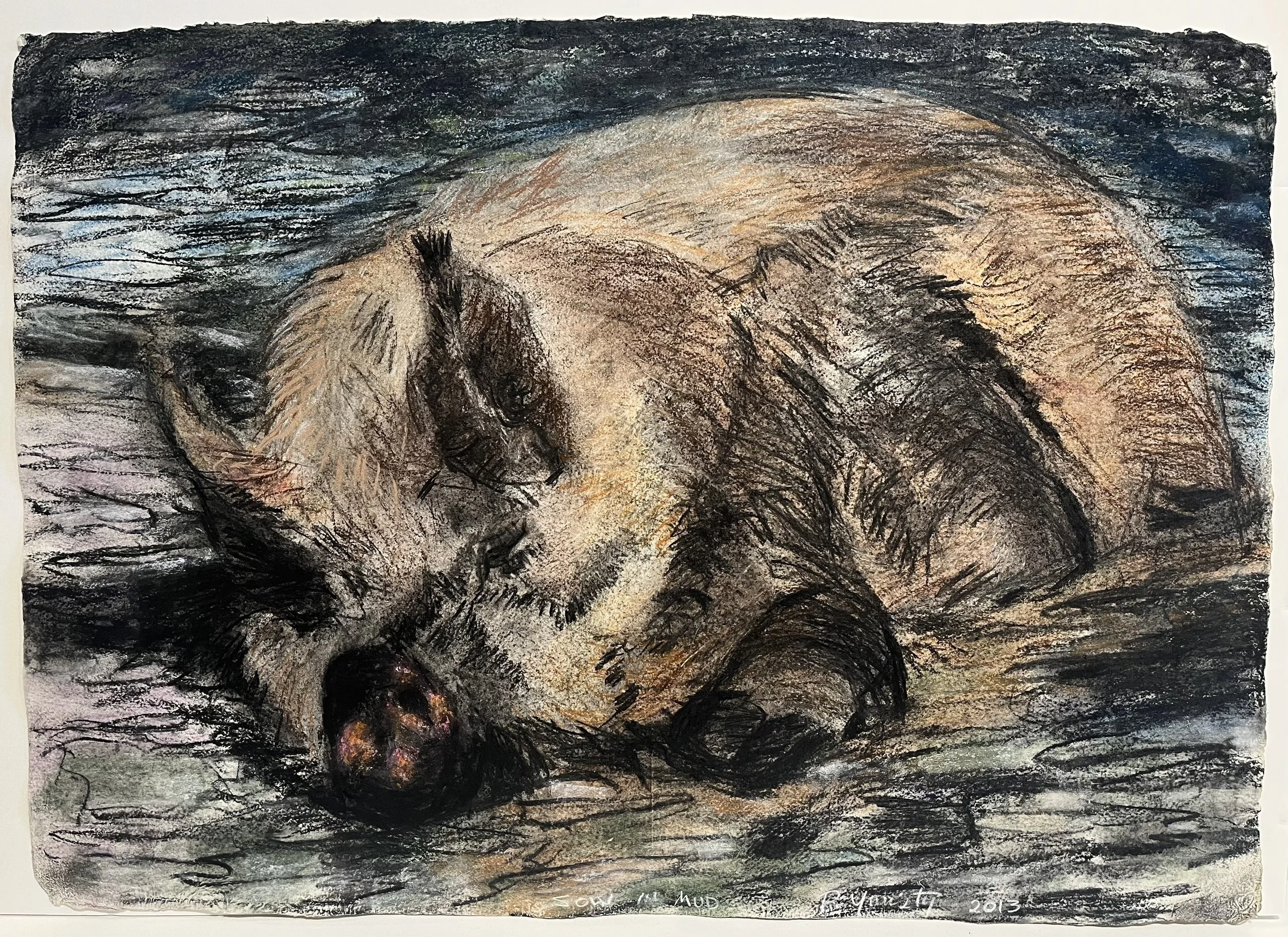 Russell Yuristy  |  Sow in Mud