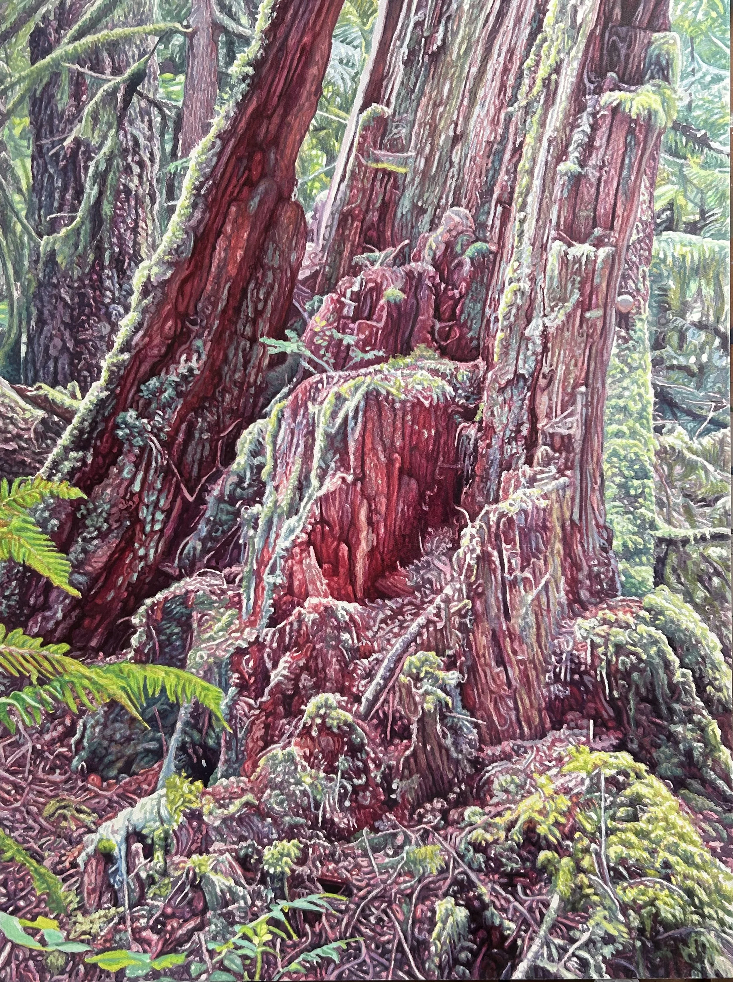 Ward Schell  | FOREST TAPESTRY