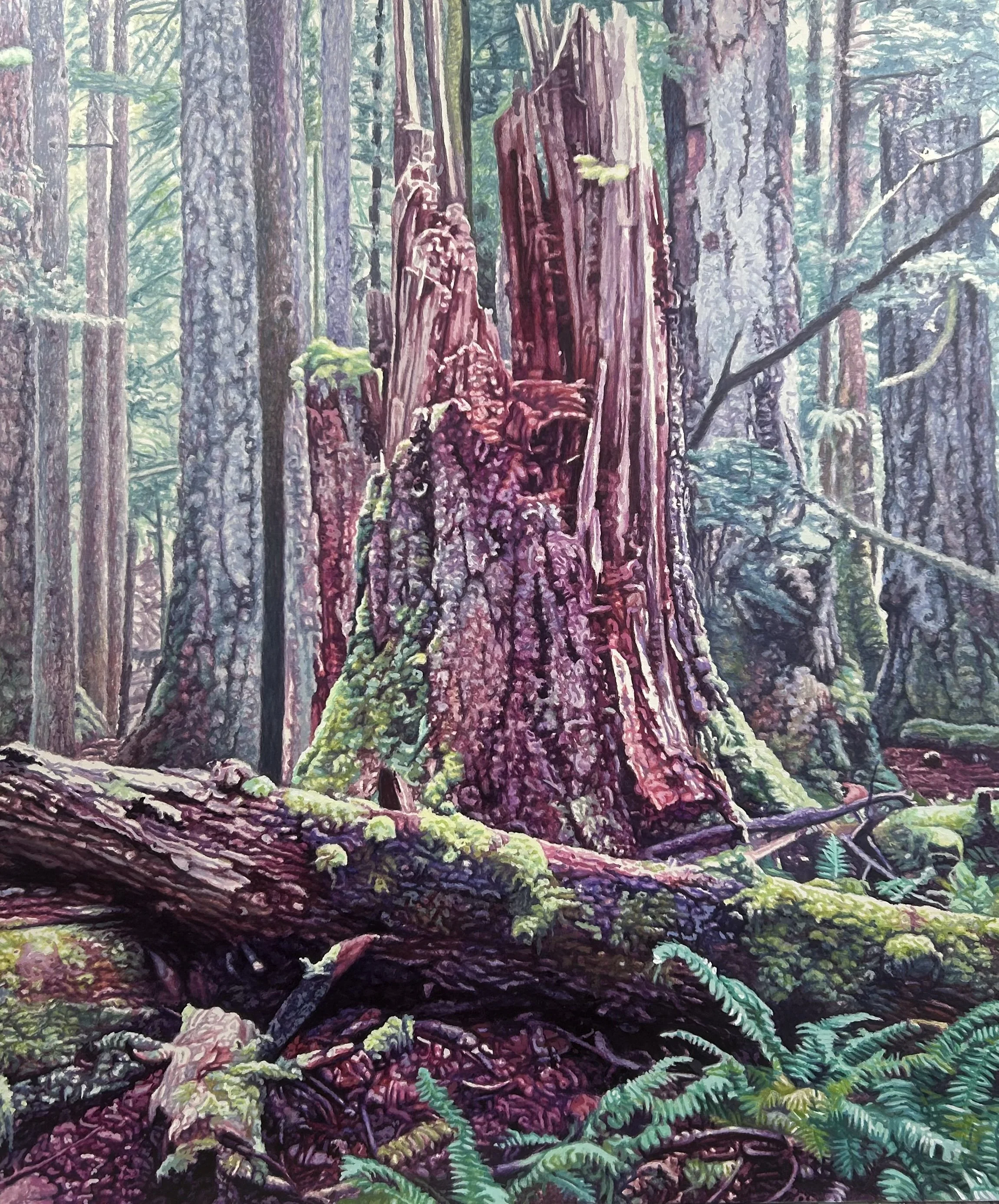 Ward Schell  | Forest Enshrined