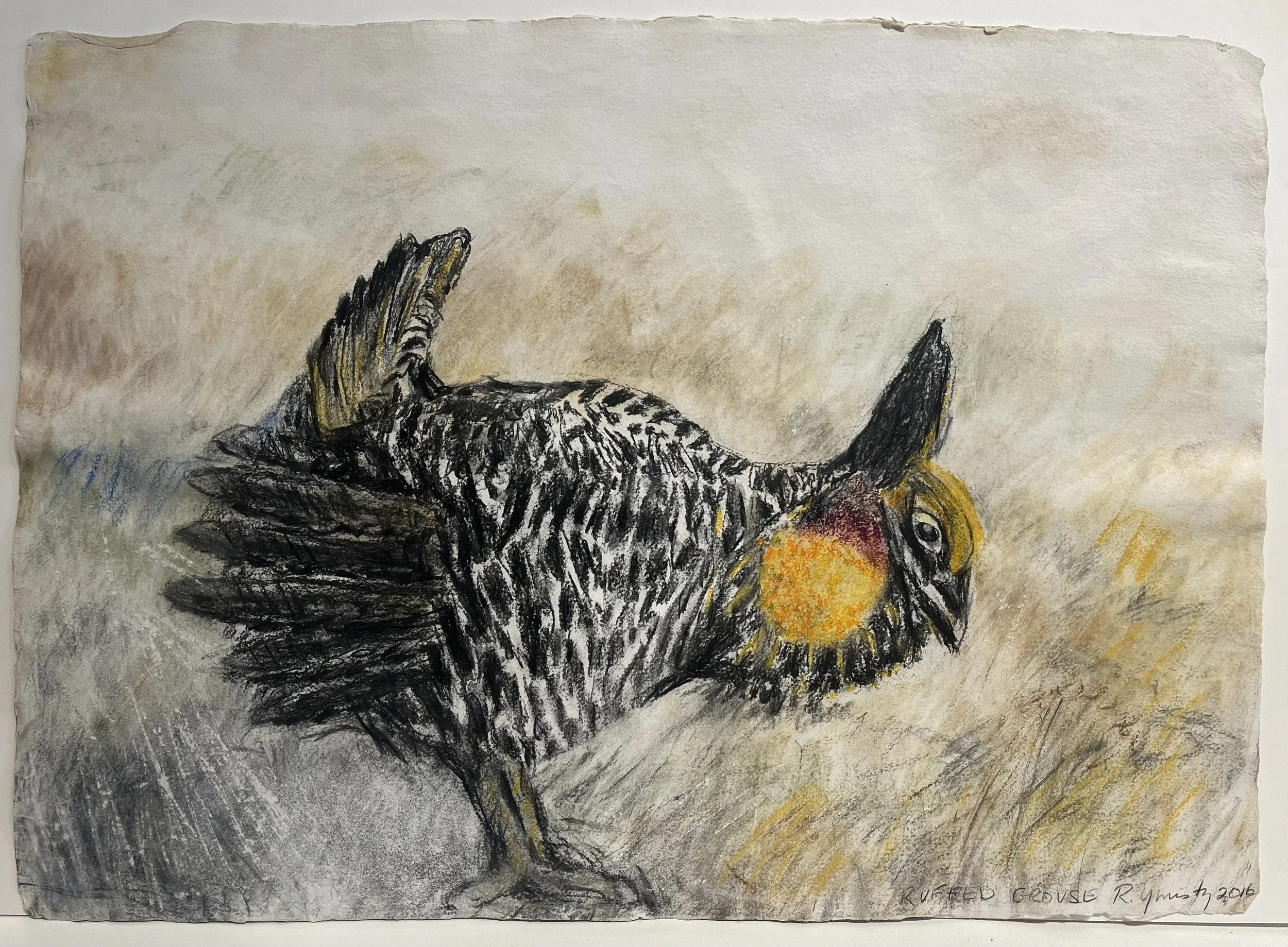 Russell Yuristy  |  Ruffed Grouse