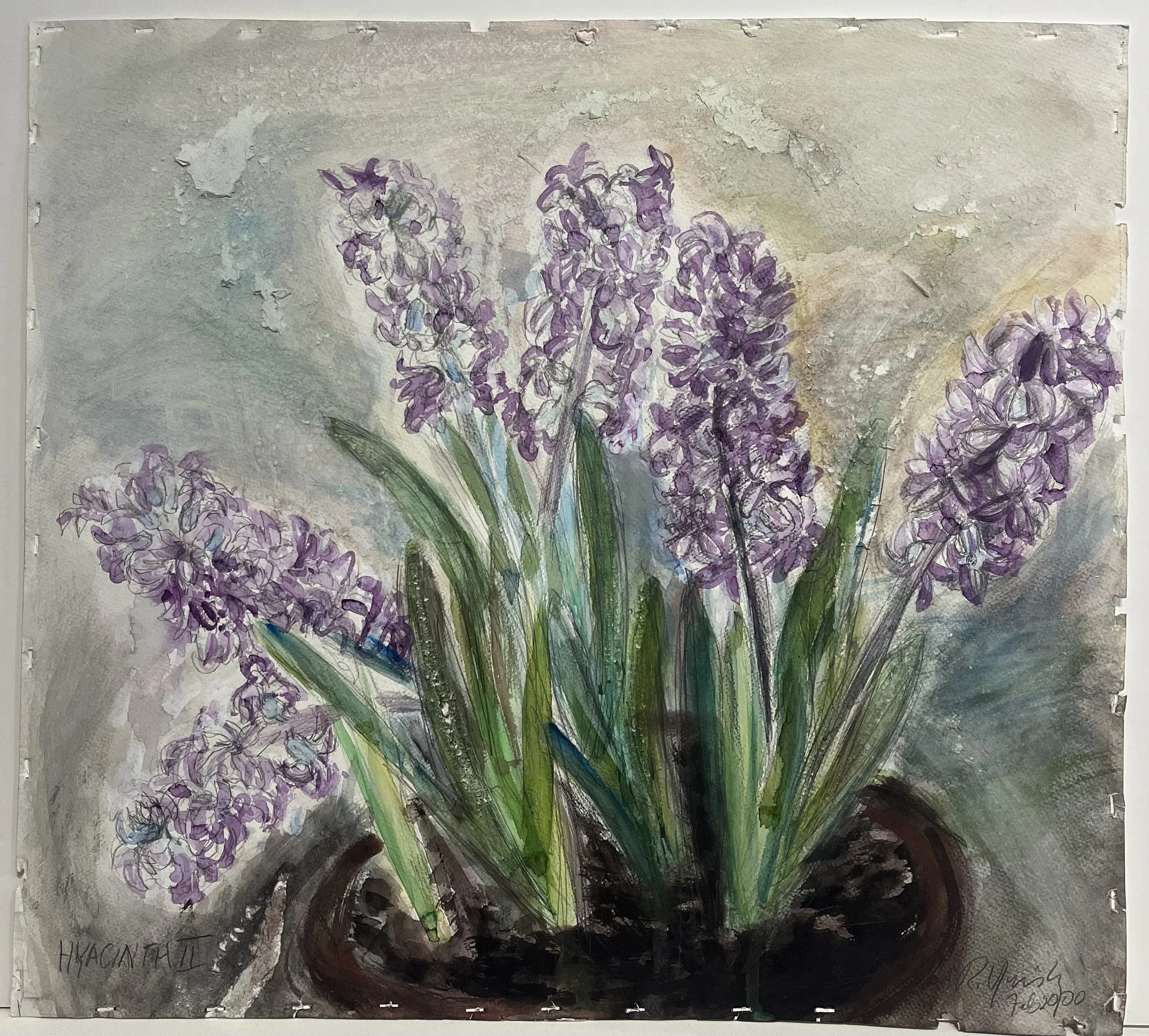 Russell Yuristy  |  Hyacinth II