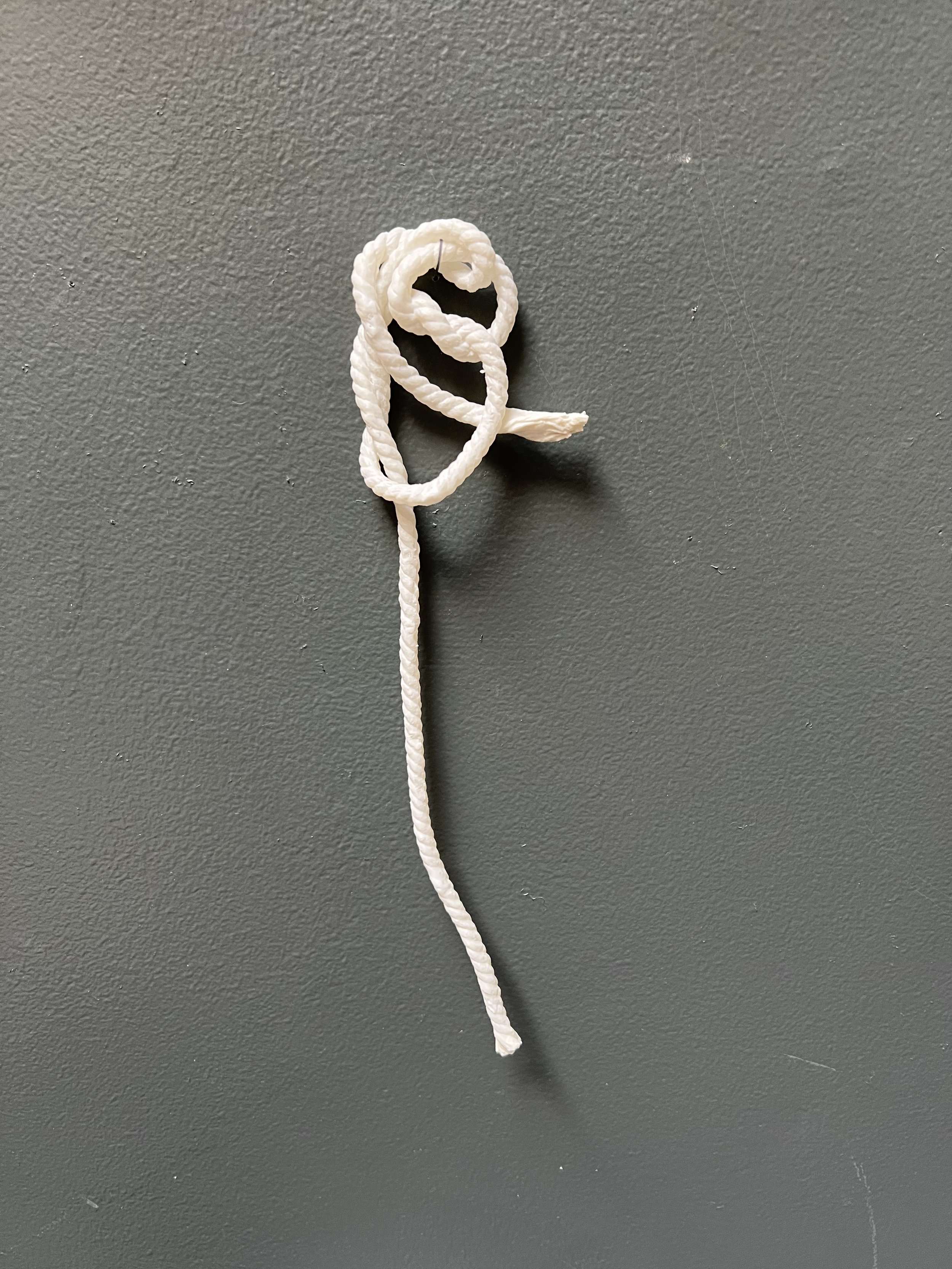 Fools Knot 2025.jpeg