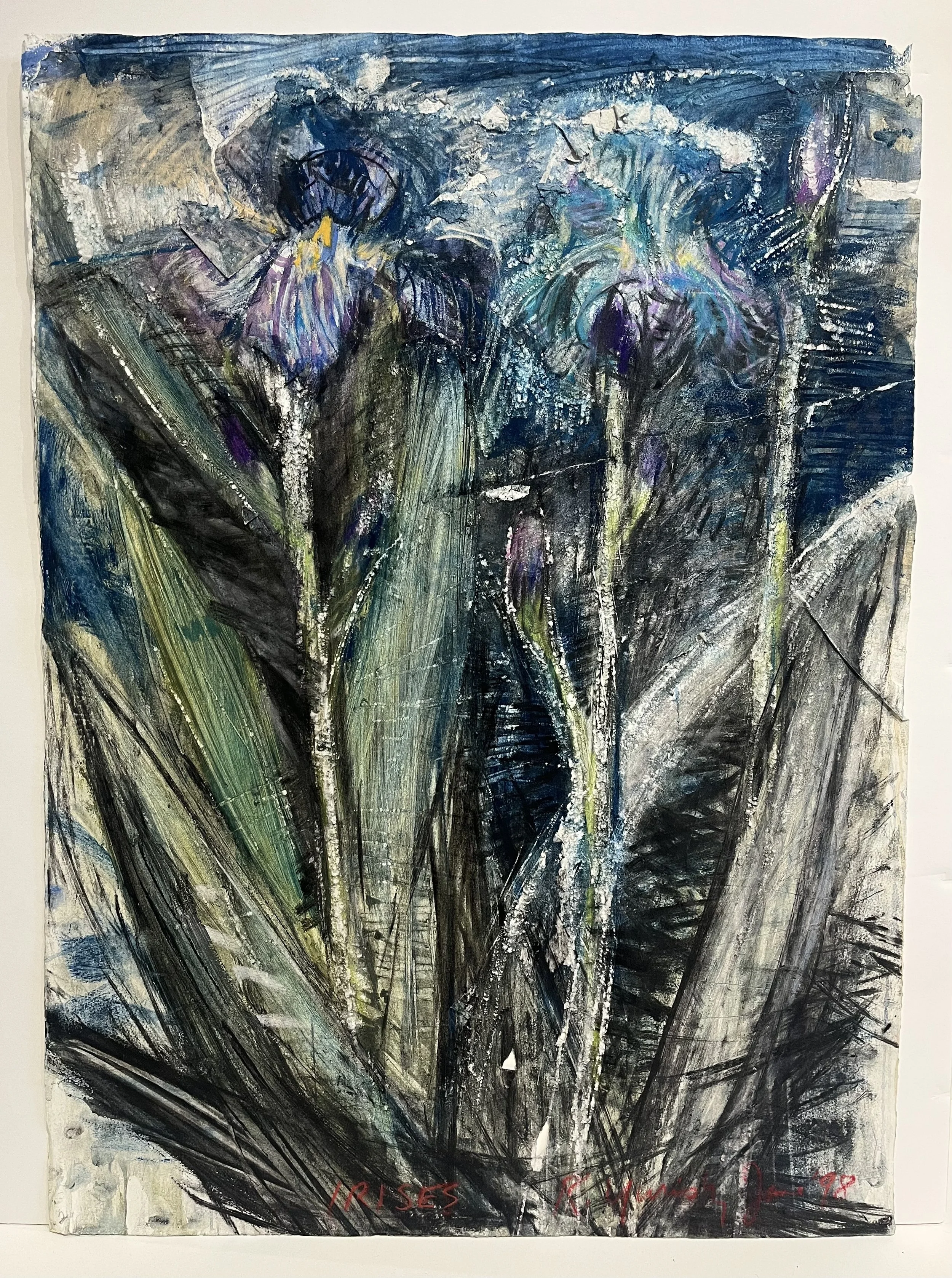 Russell Yuristy  |  Irises