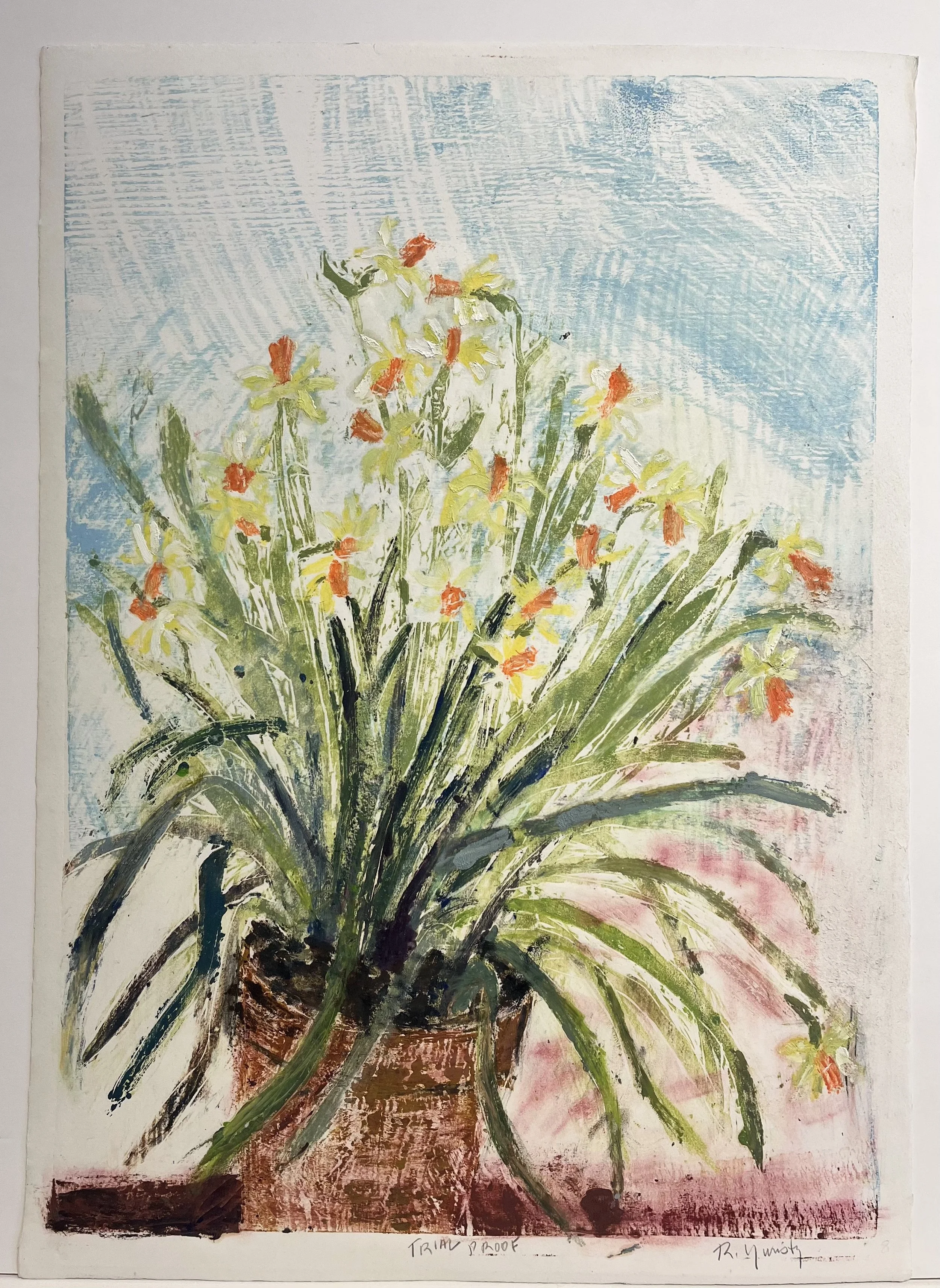 Russell Yuristy  |  Wild Daffodil