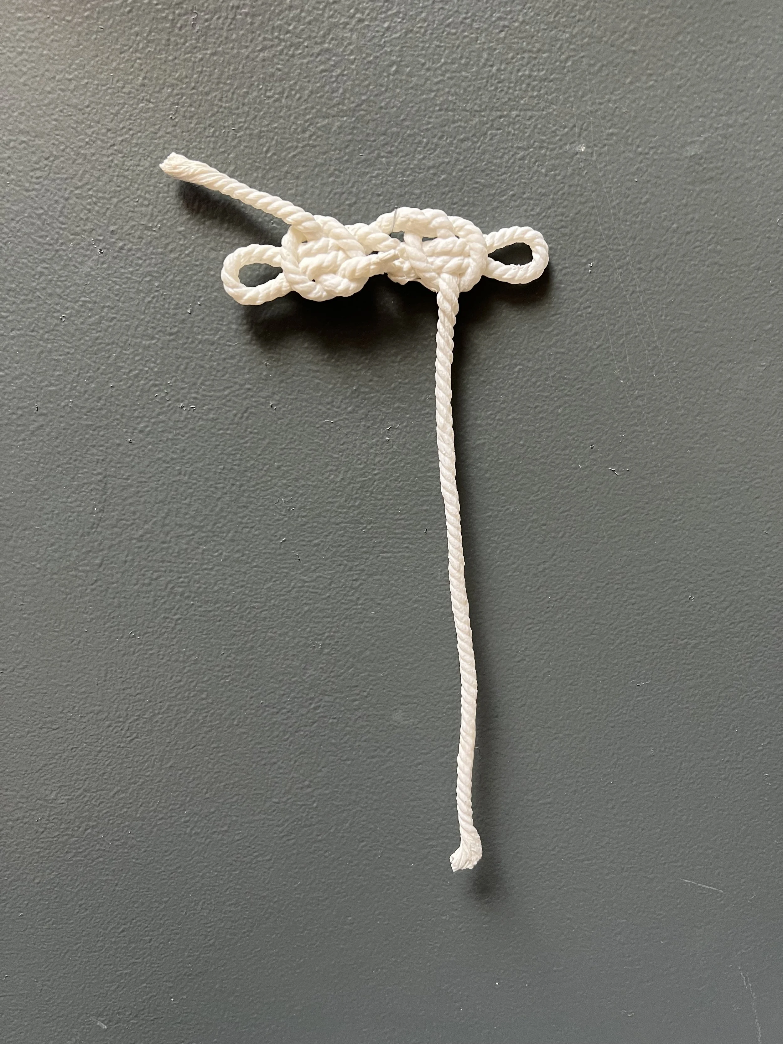 Danielle Corson | Sheepshank