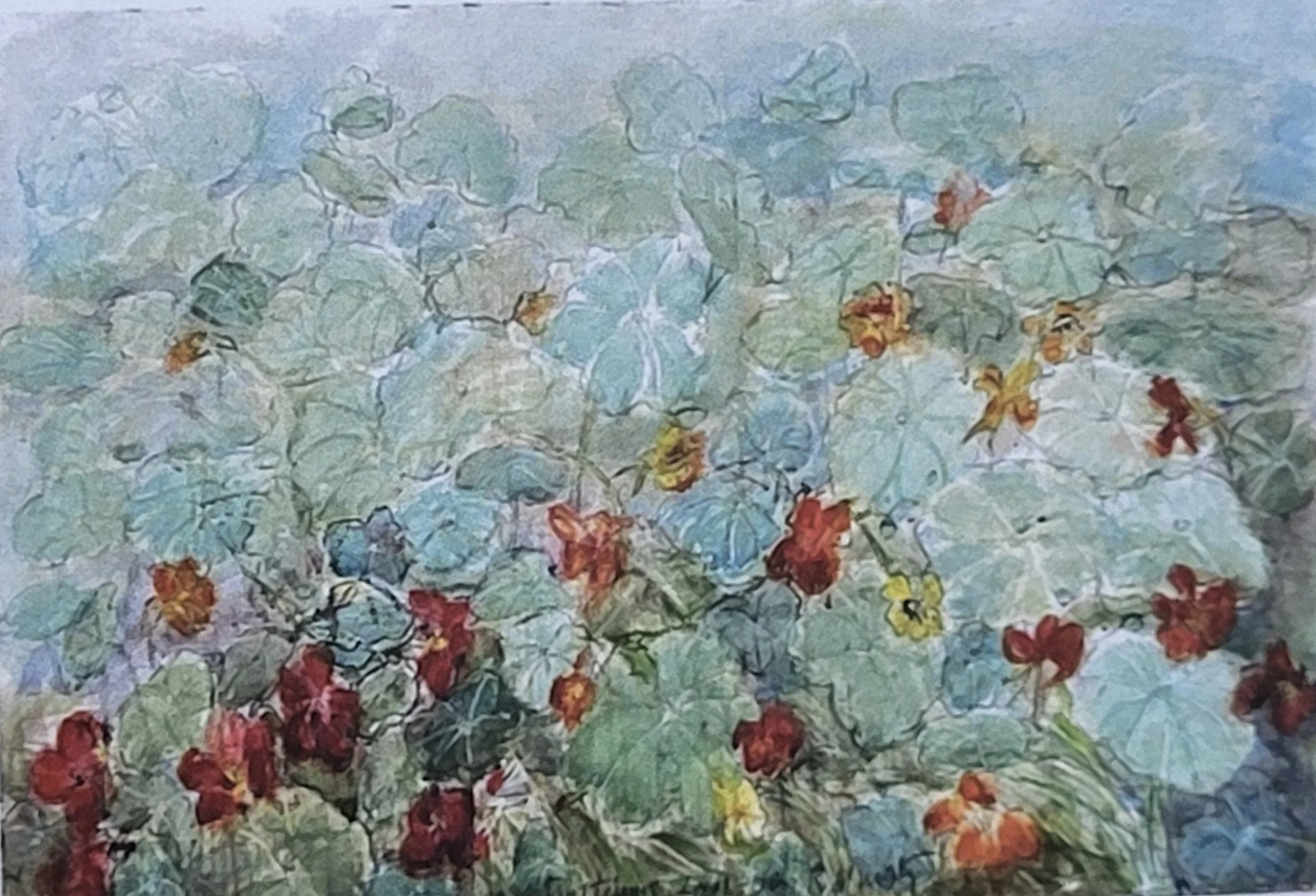 Russell Yuristy  |  Nasturtiums