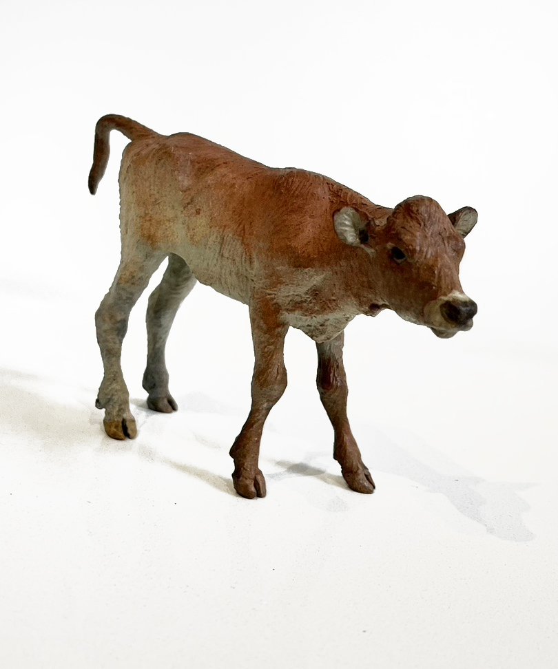 calf.jpg