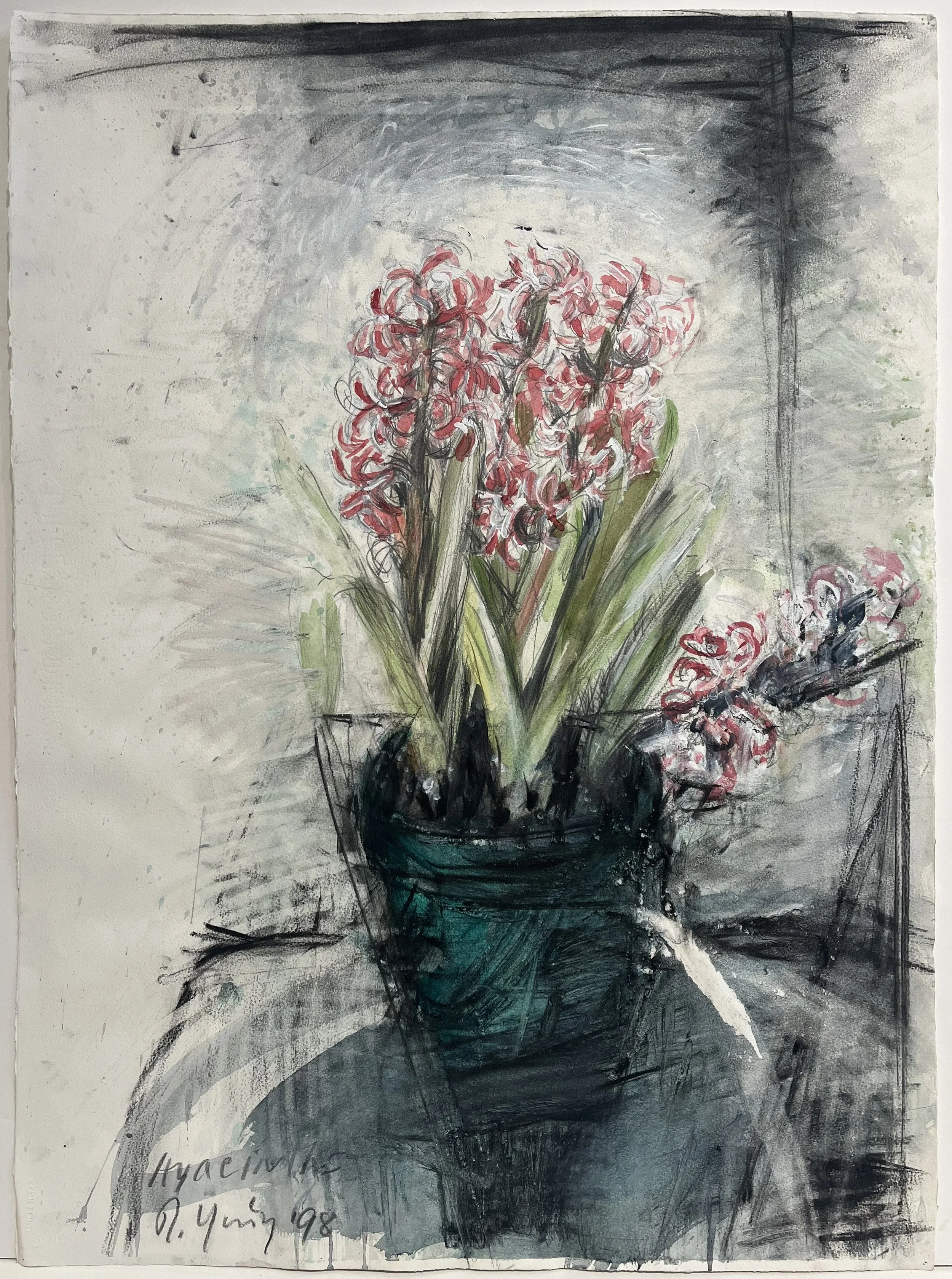 Russell Yuristy  |  Hyacinths