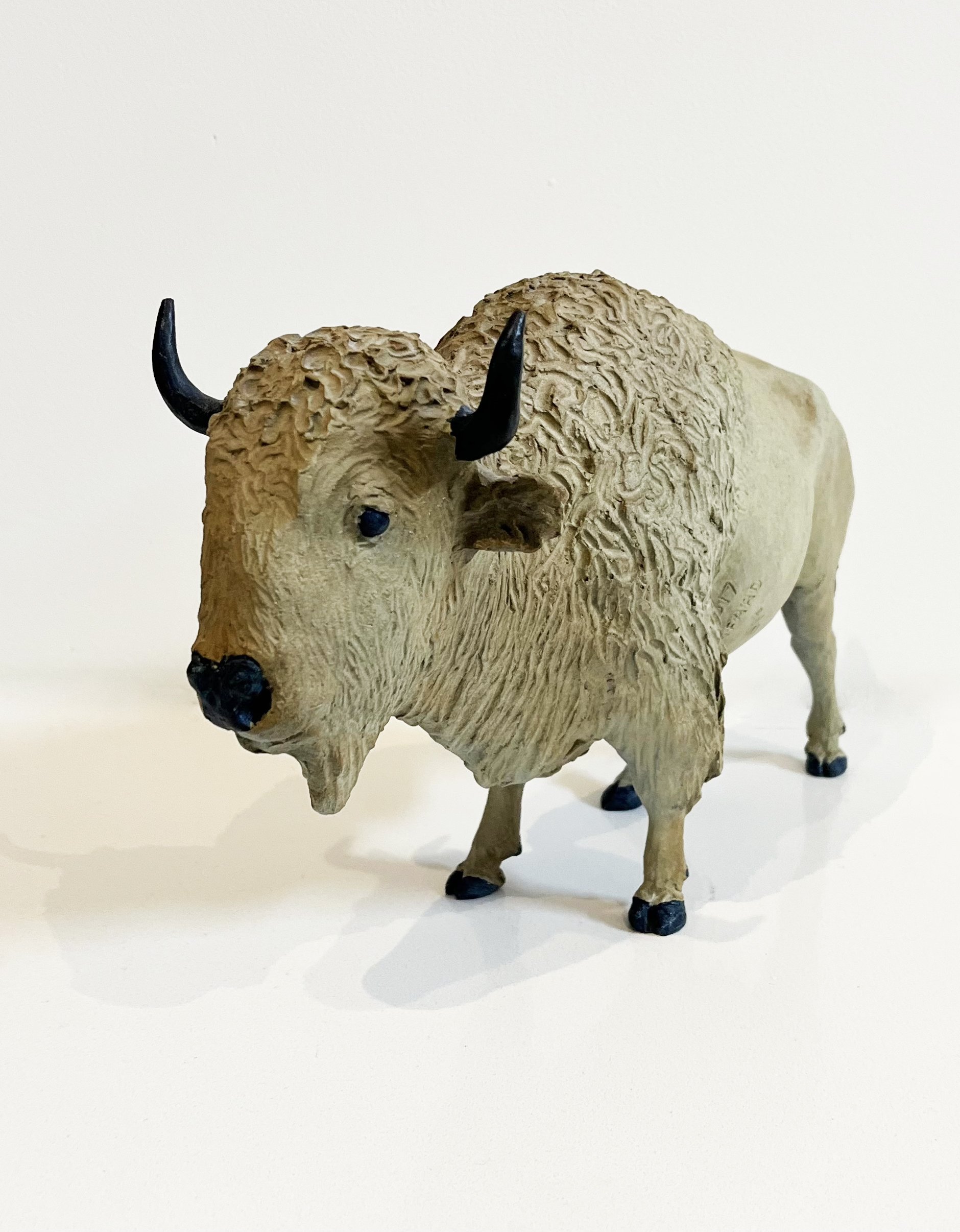 BISON 2.jpg