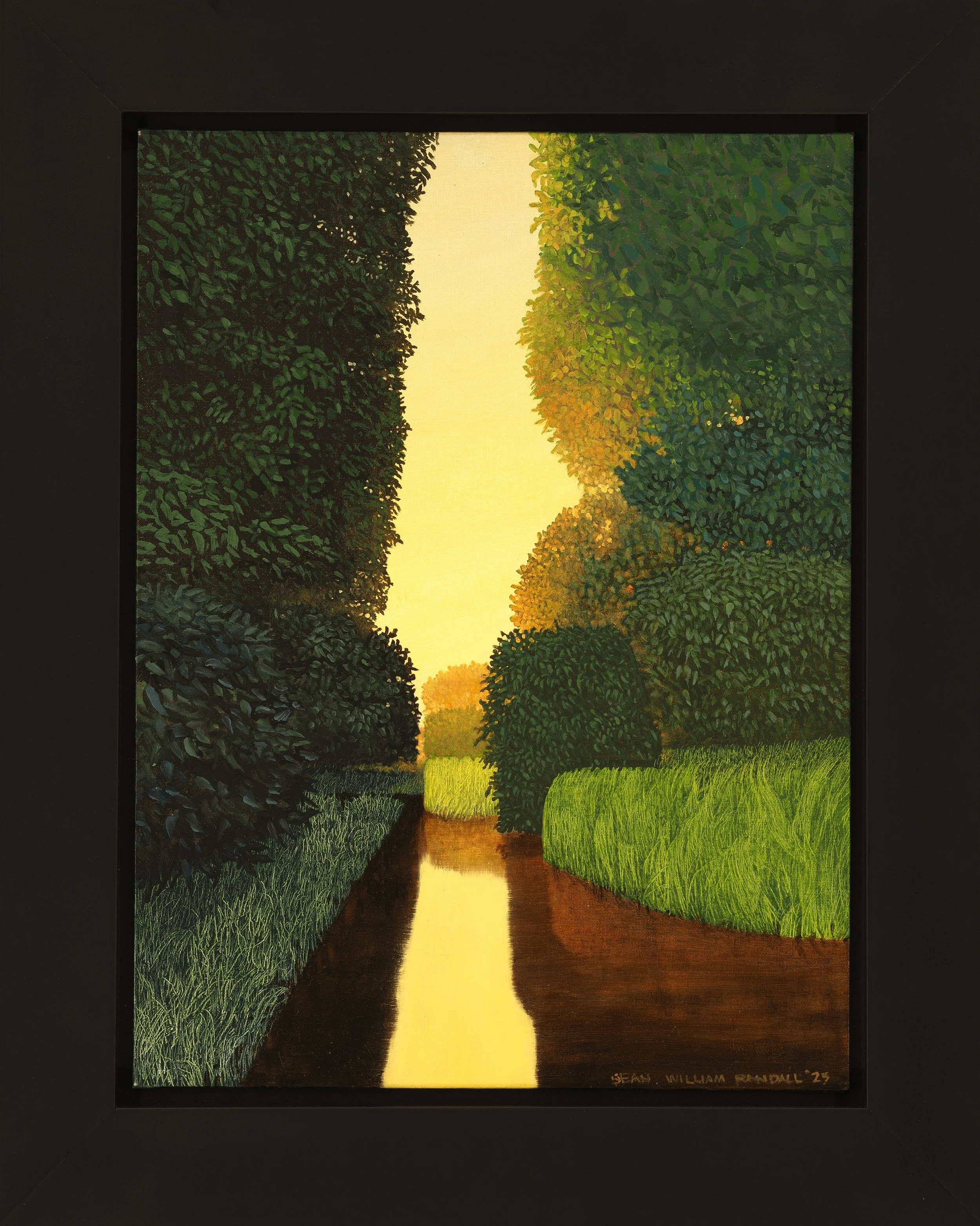 Sean William Randall  |  Yellow