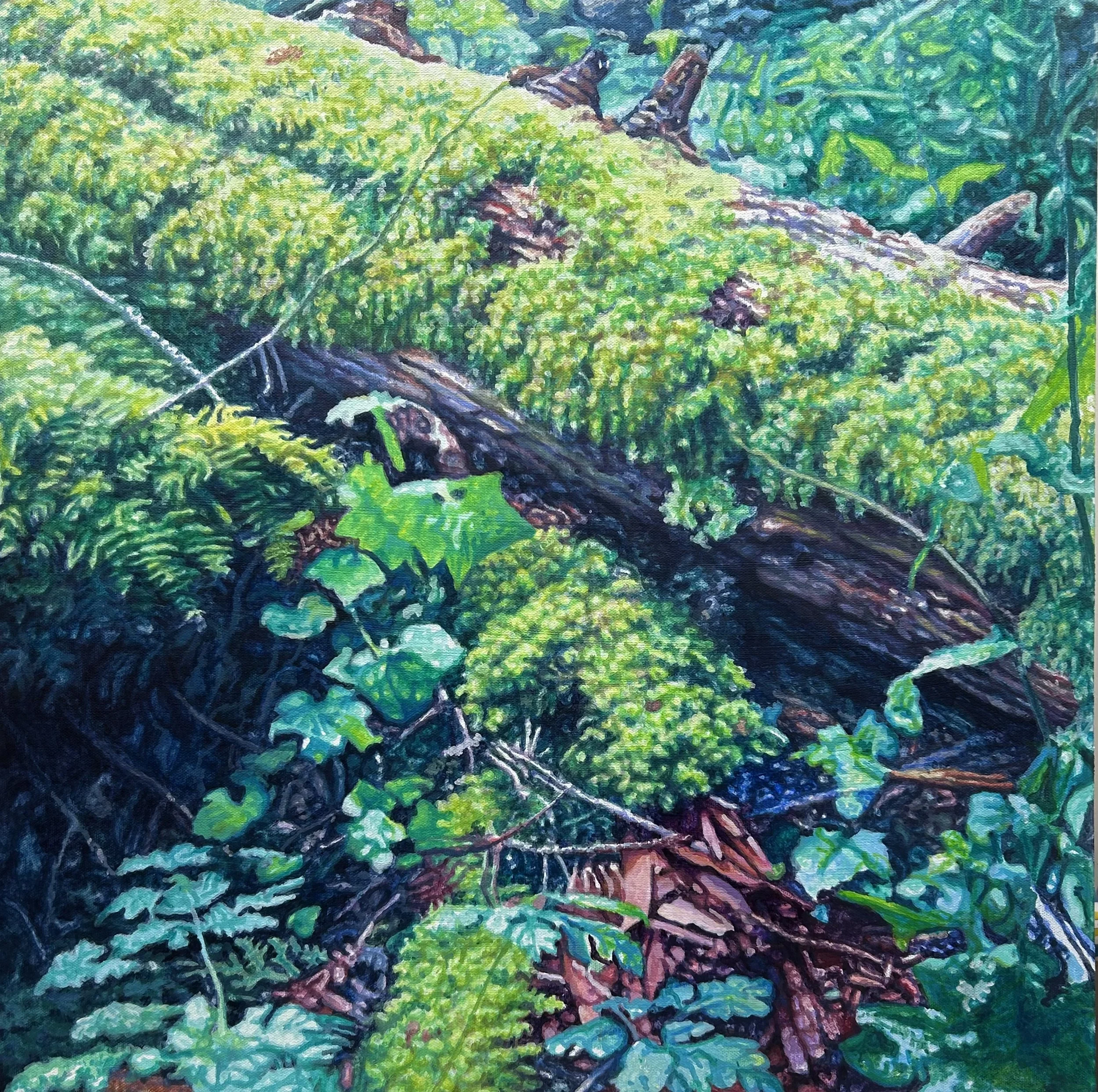 Ward Schell  | FOREST FRAGMENTED