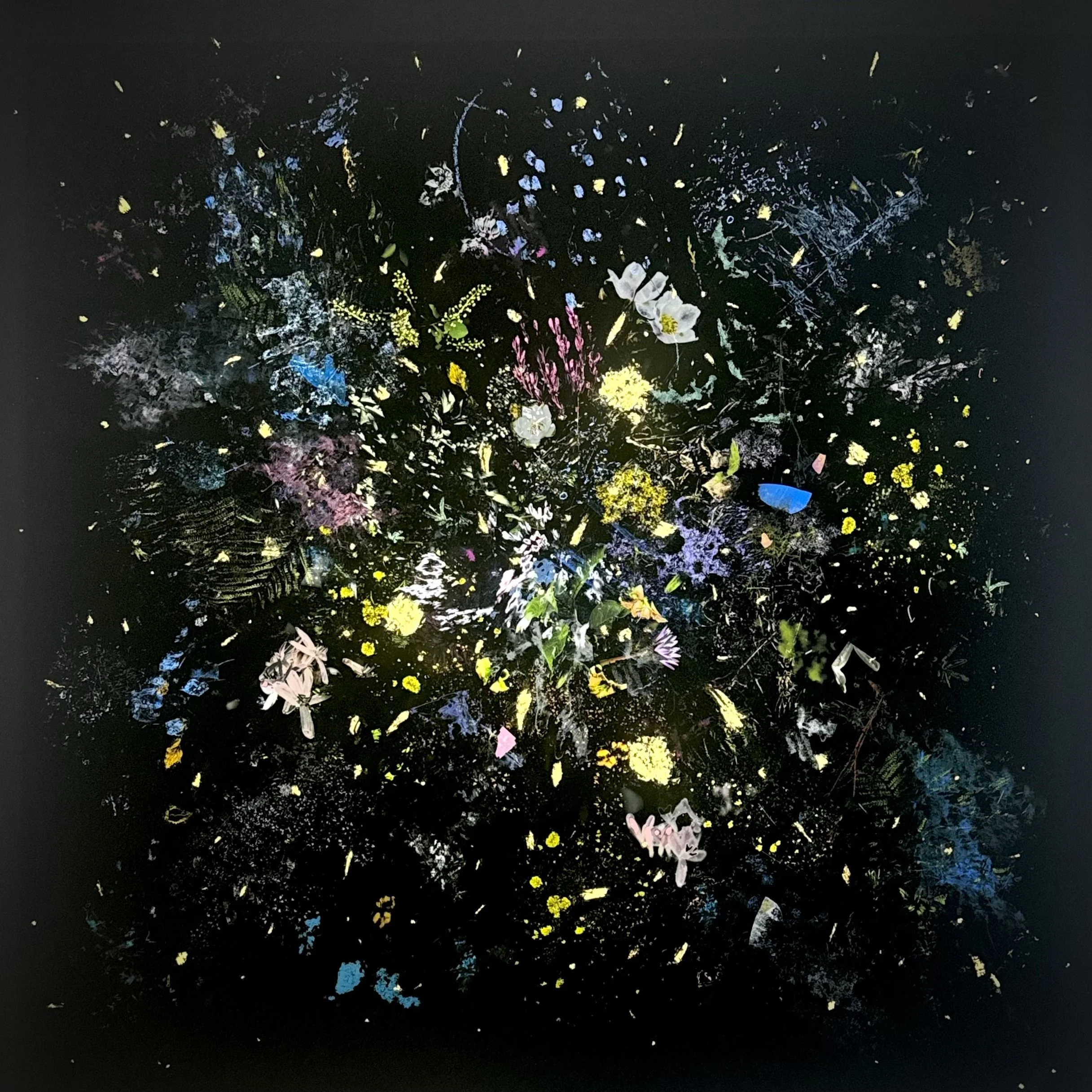 Gabriela Garcia-Luna  |  Reechoing