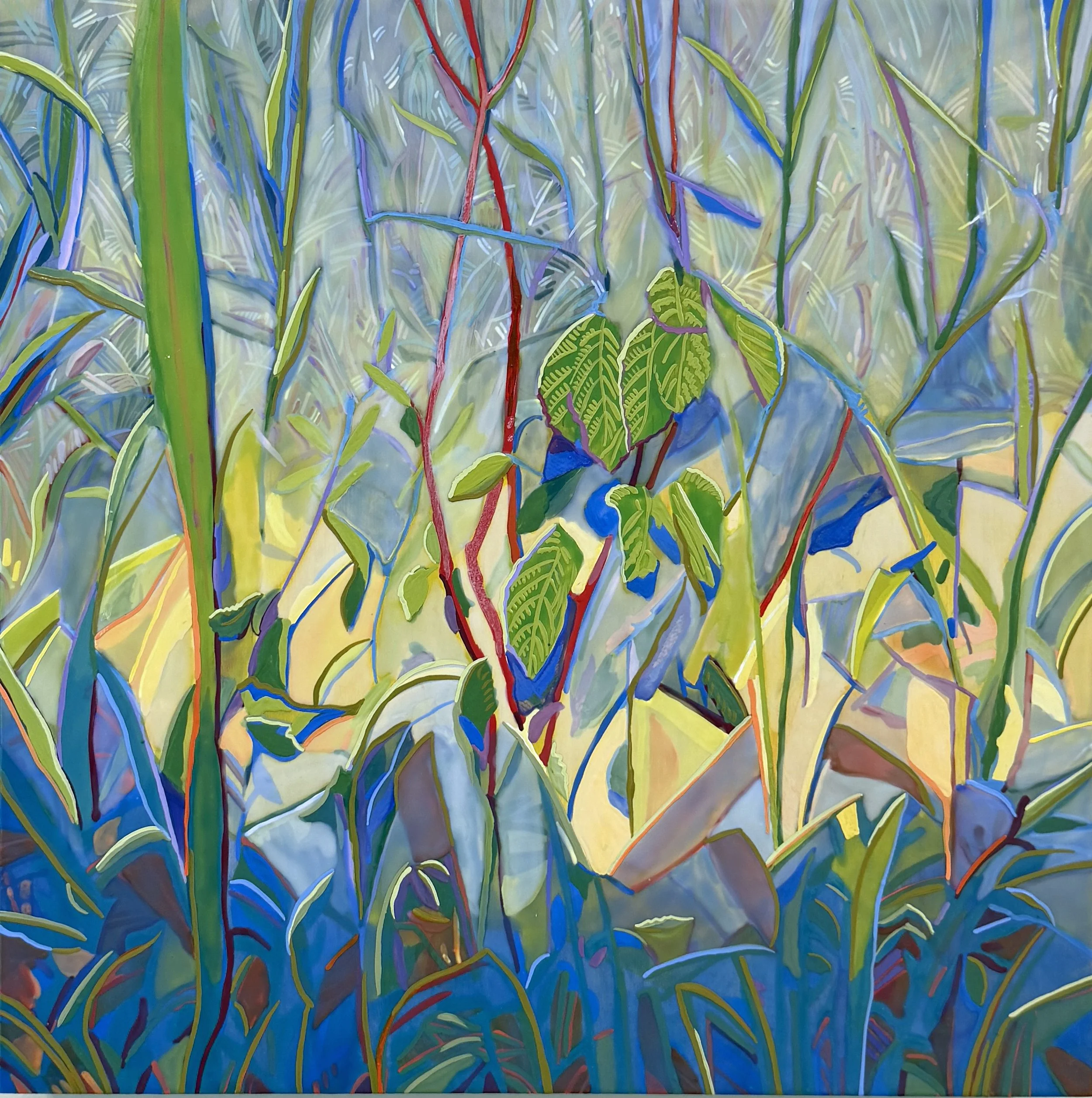 Fieldwork Dogwood 16 x 16 H Cline 2026.jpg