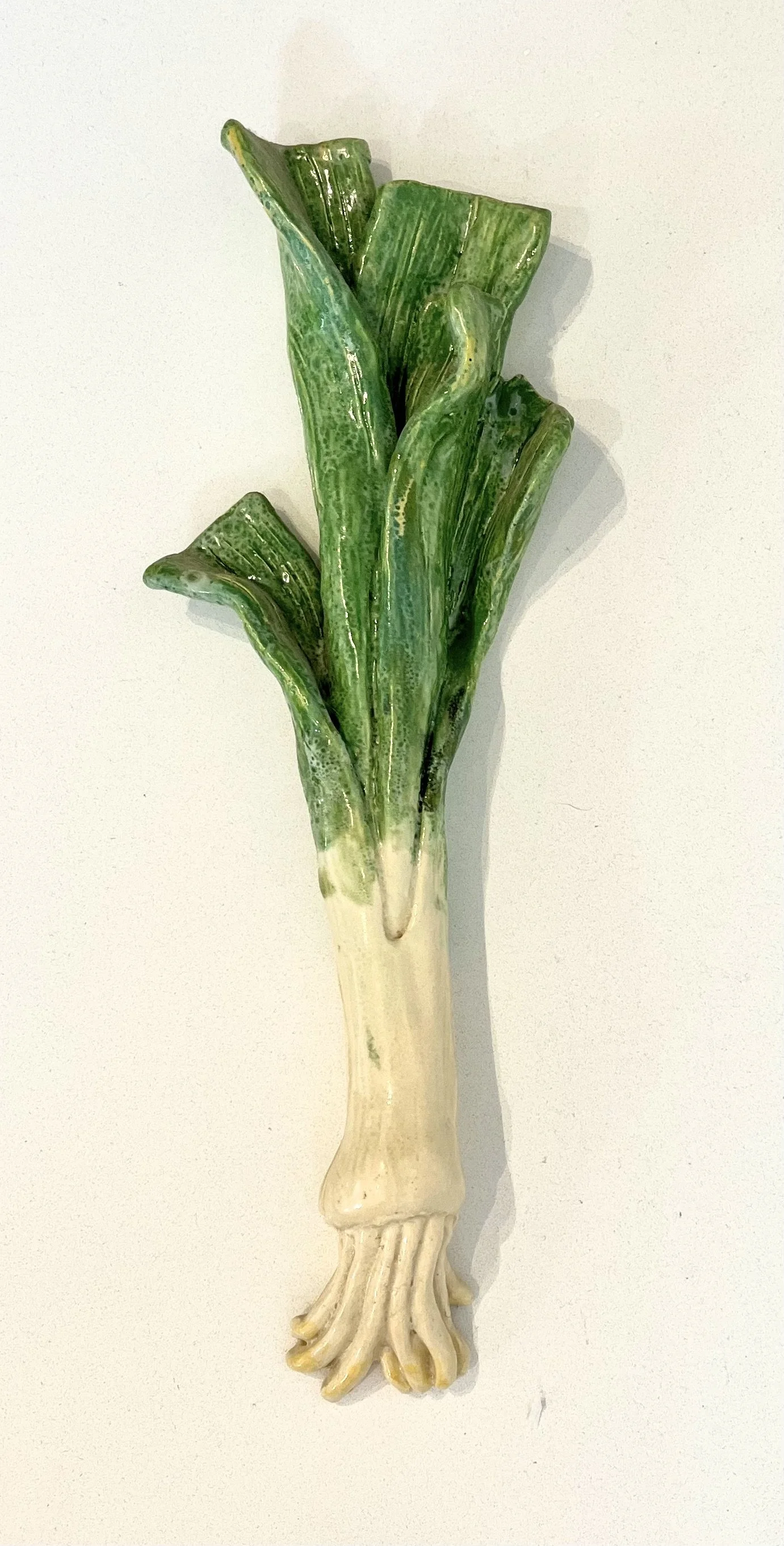 Victor Cicansky  |  Leeks