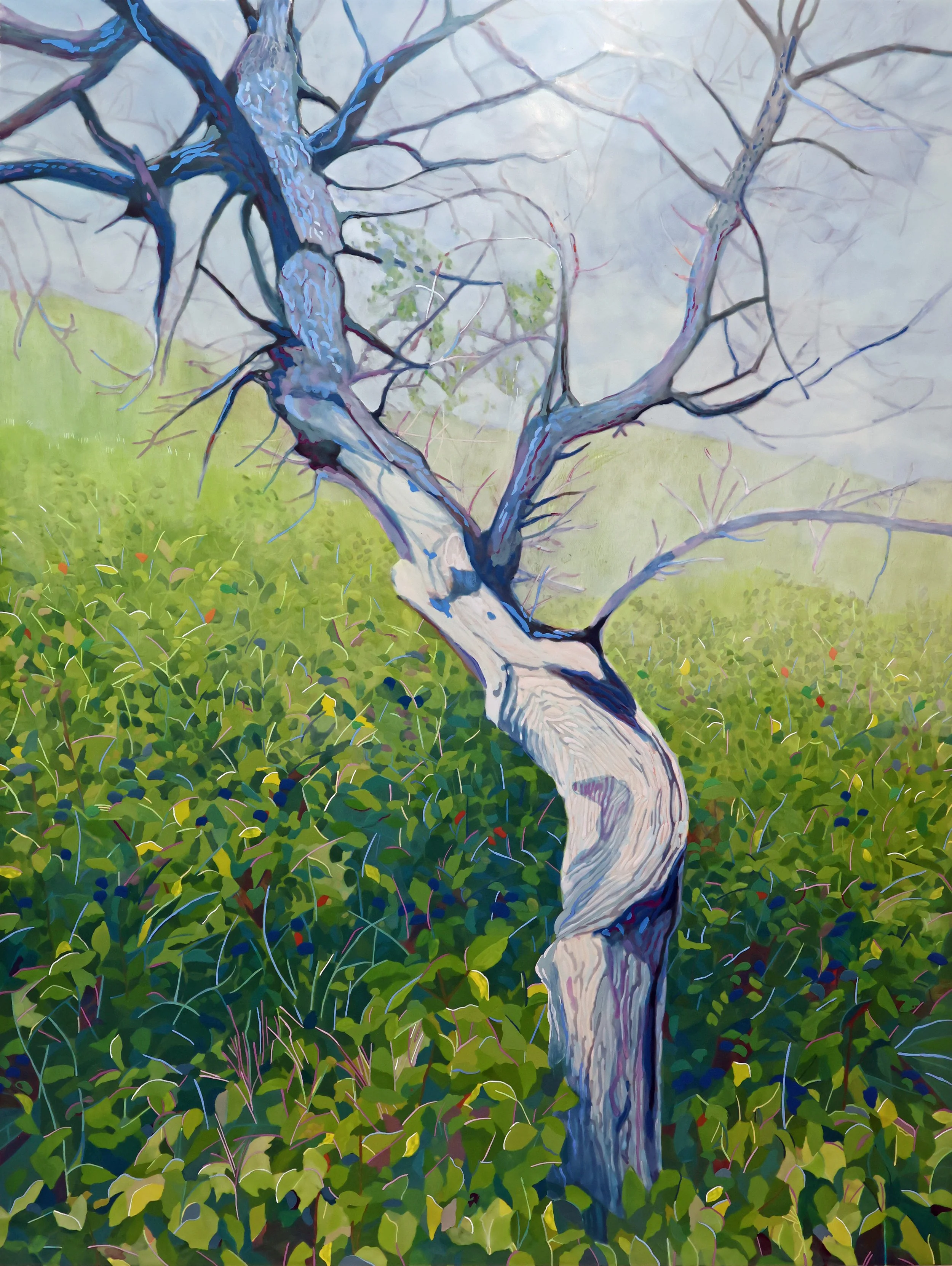 Fieldwork Heartwood 48 x 36 H Cline 2026.jpg