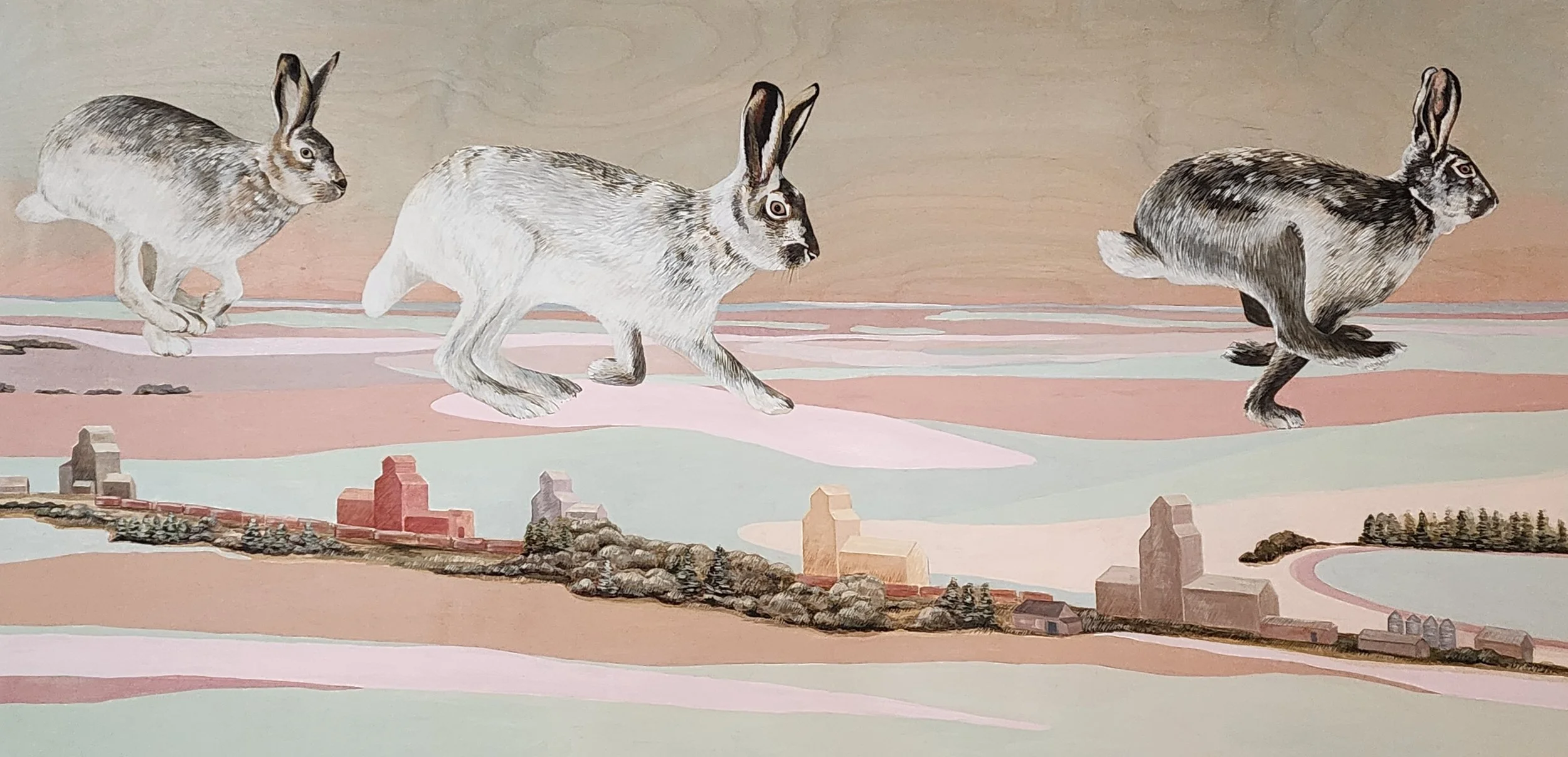 Belinda Harrow |   Spring Run