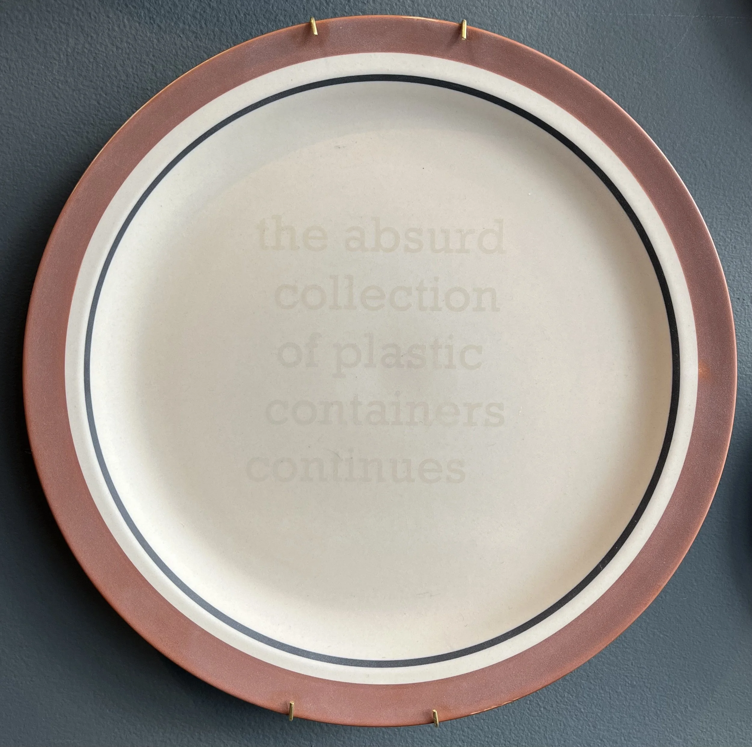 Danielle Corson  |  The absurd collection of plastic containers continues