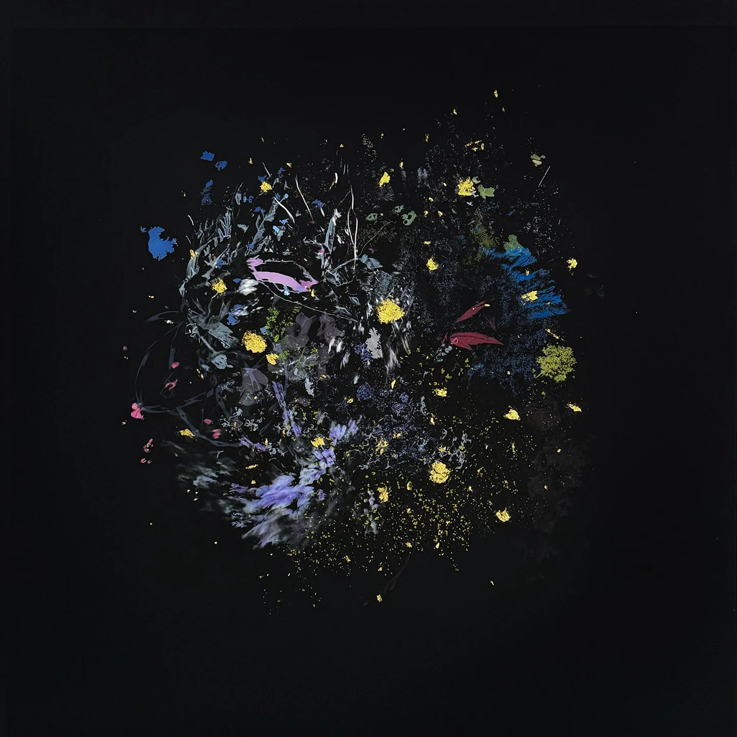 Gabriela Garcia-Luna  |  Midnight Wave III - Swift