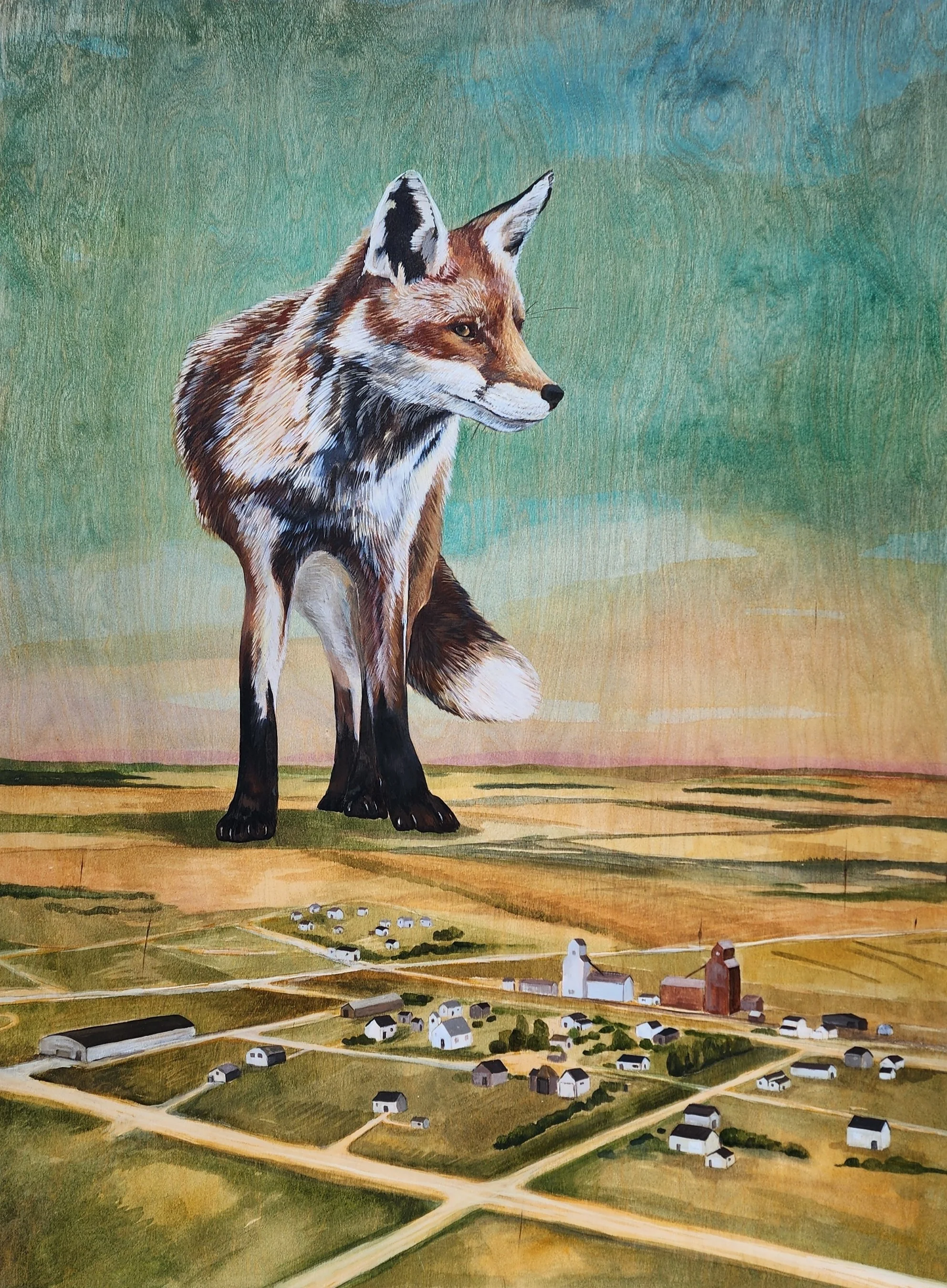 Belinda Harrow  |  Side Eye