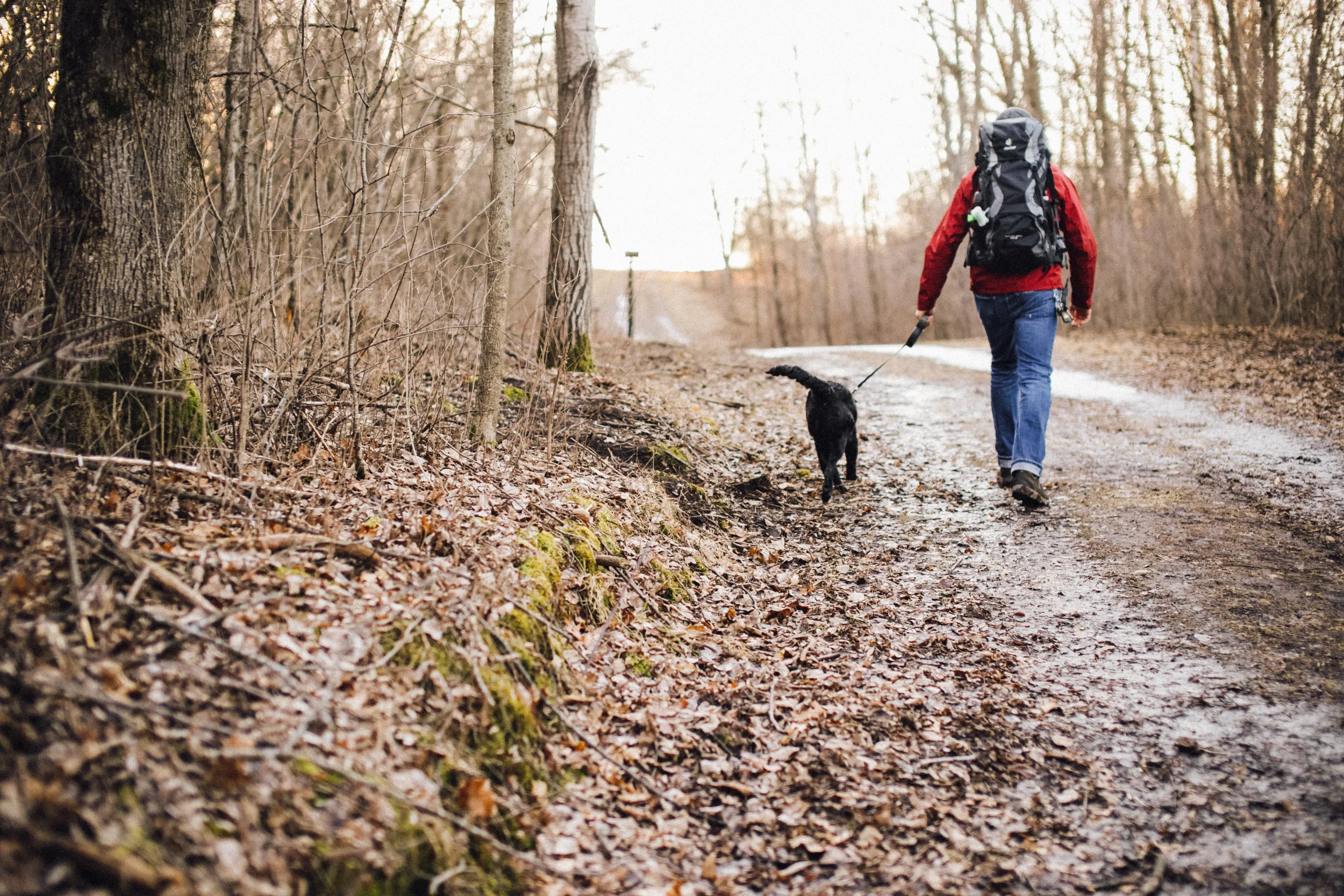 Hiking-3.21.2017-26.jpg