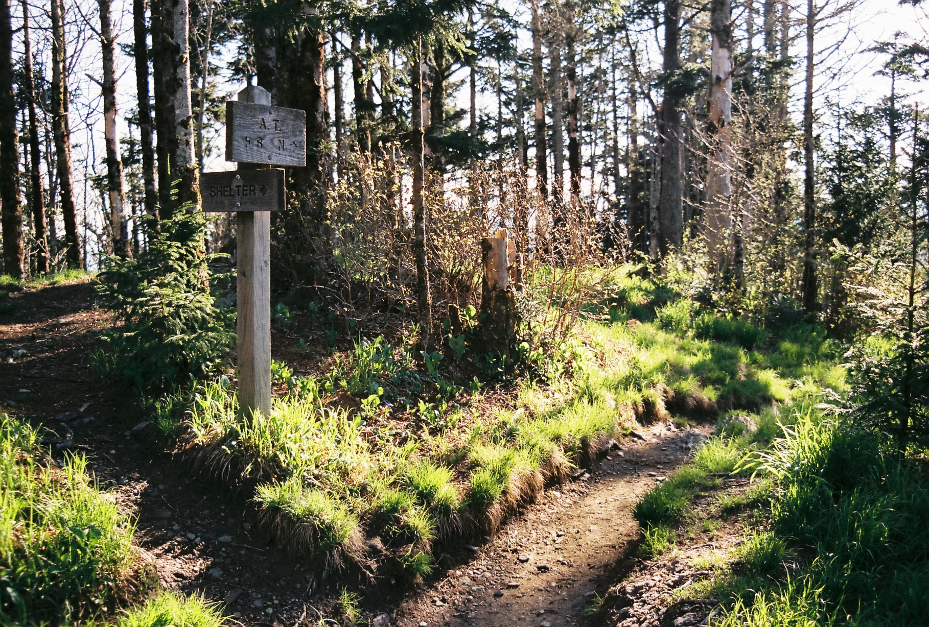 0938940-R1-21-21.jpg