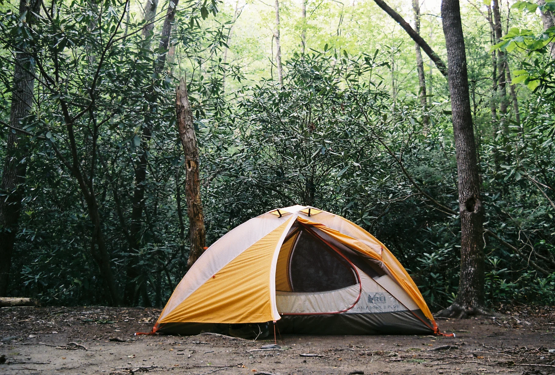 0938938-R1-24-24A.jpg