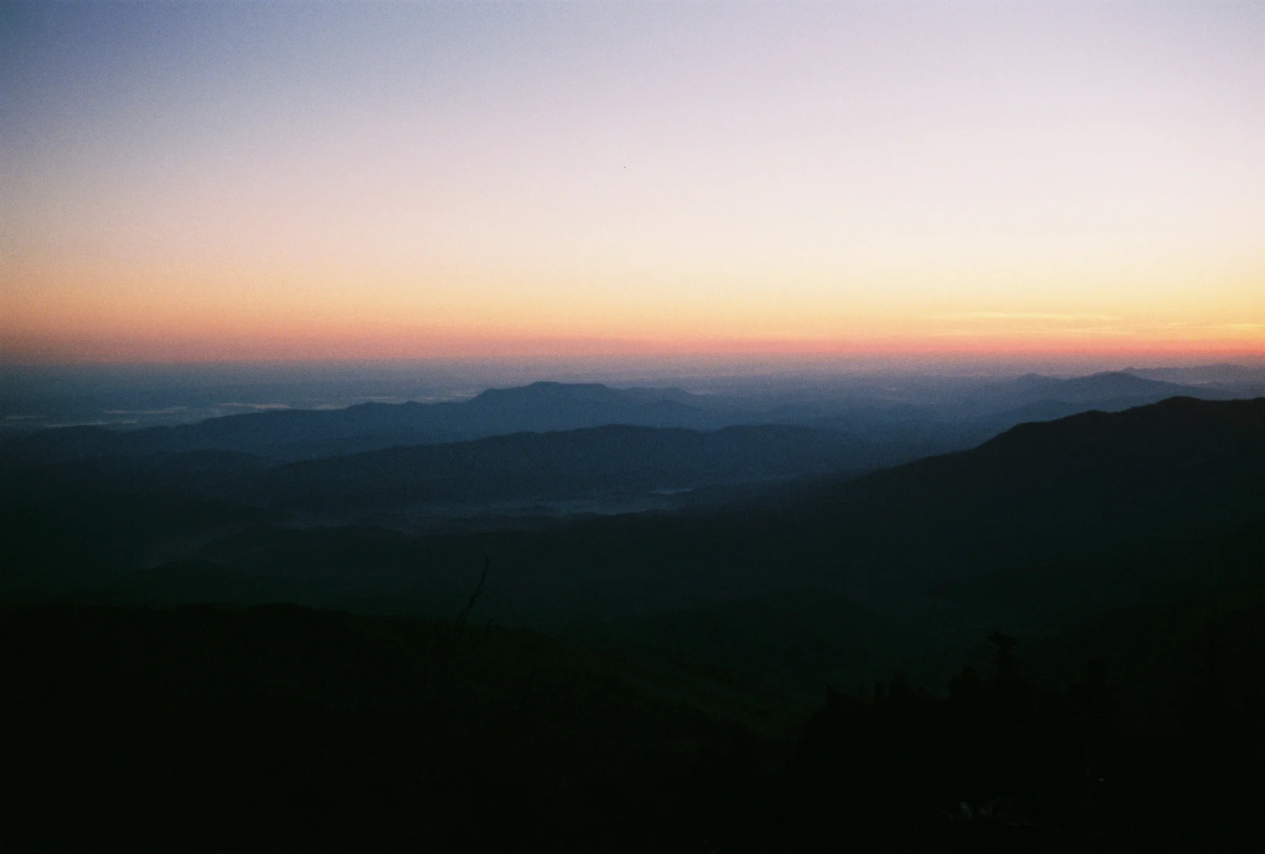 0938938-R1-01-1A.jpg