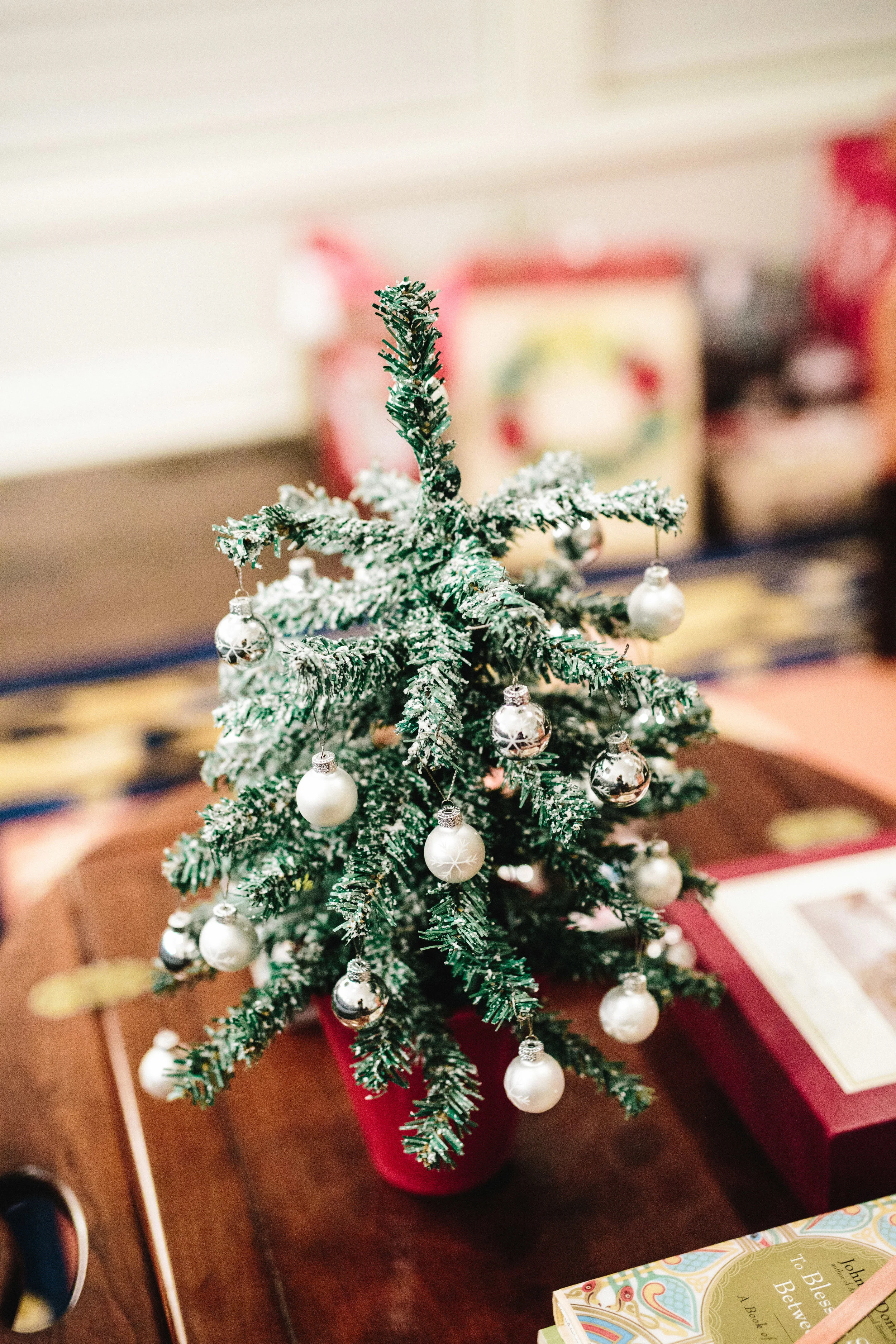 2017Christmases-1.jpg