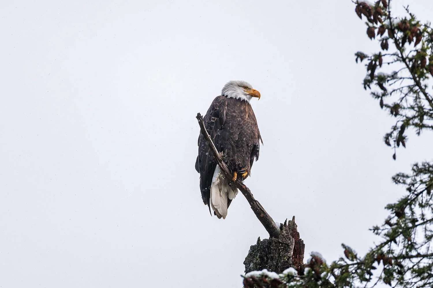 _DSC6035.jpg