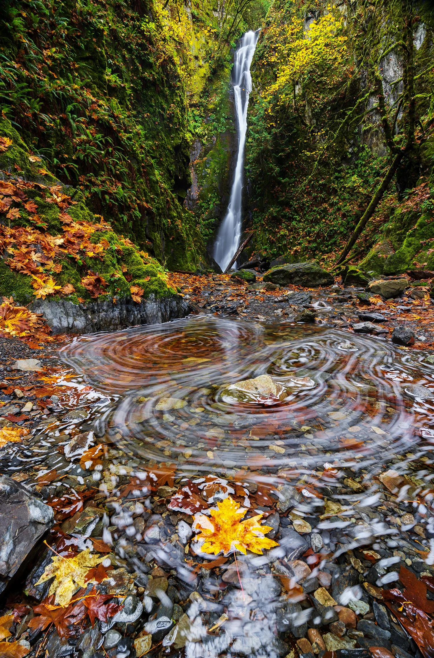 _DSC6757-Edit.jpg