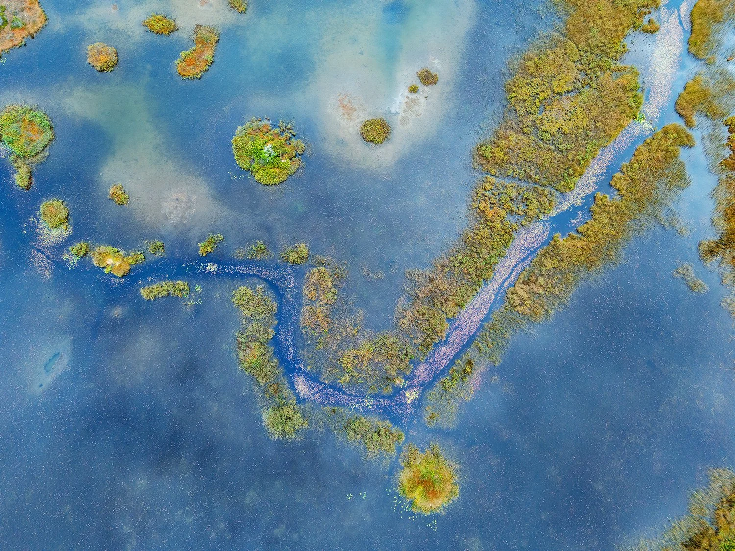 DJI_20241011142027_0272_D.jpg