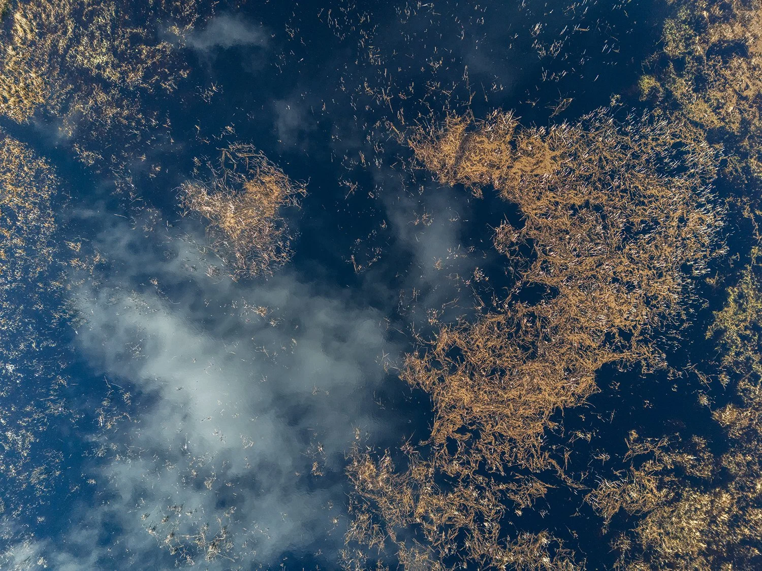 DJI_20260215142311_0124_D.jpg