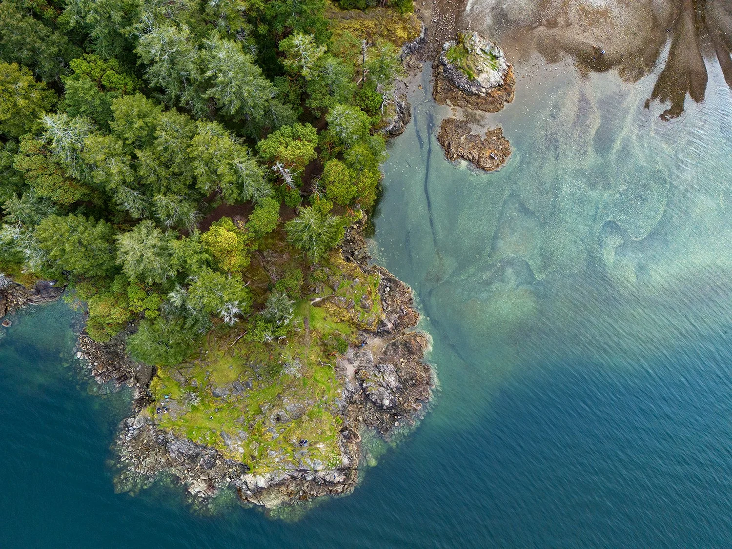 DJI_20240401124104_0265_D.jpg