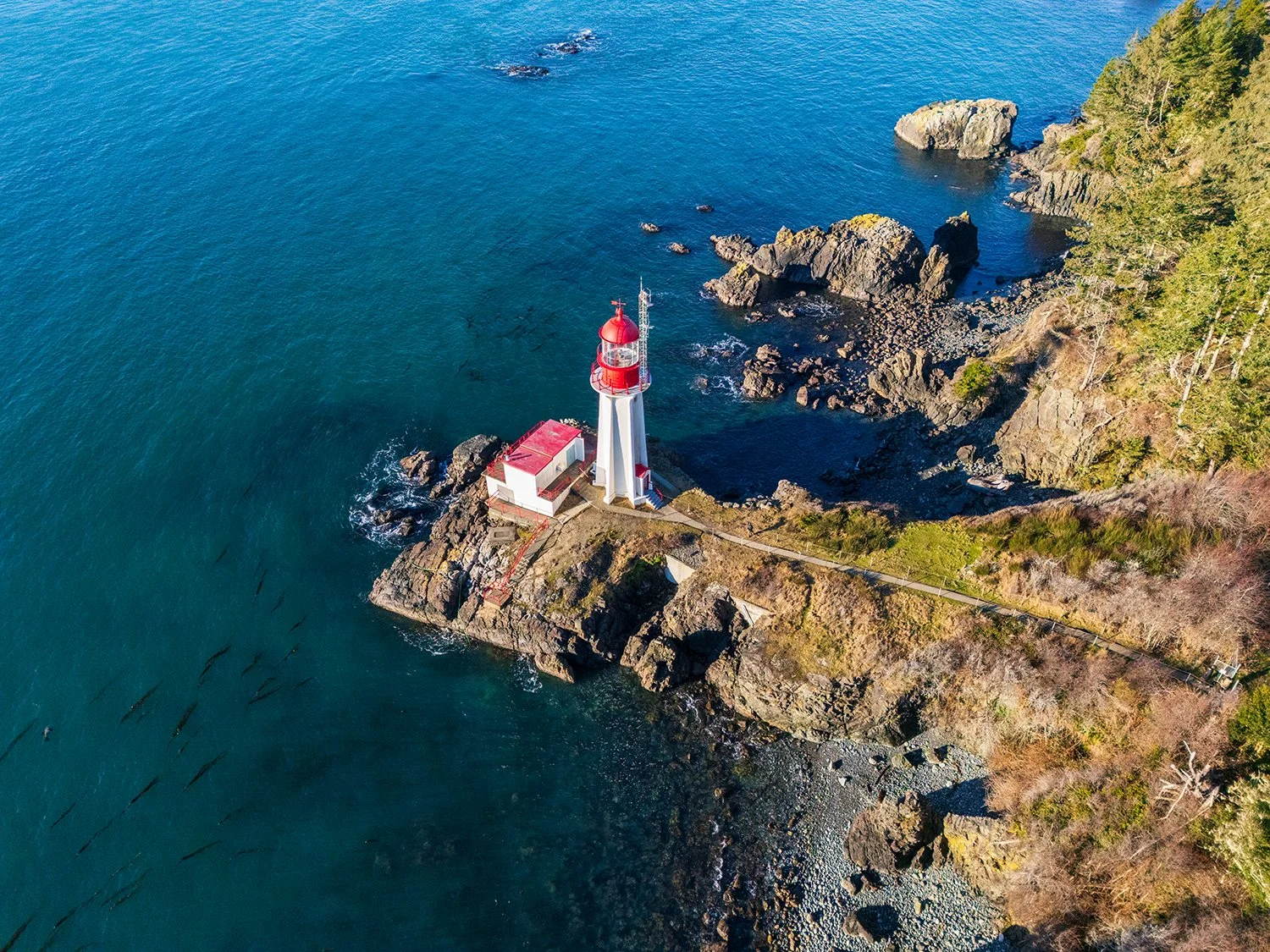 DJI_20250118100458_0547_D.jpg