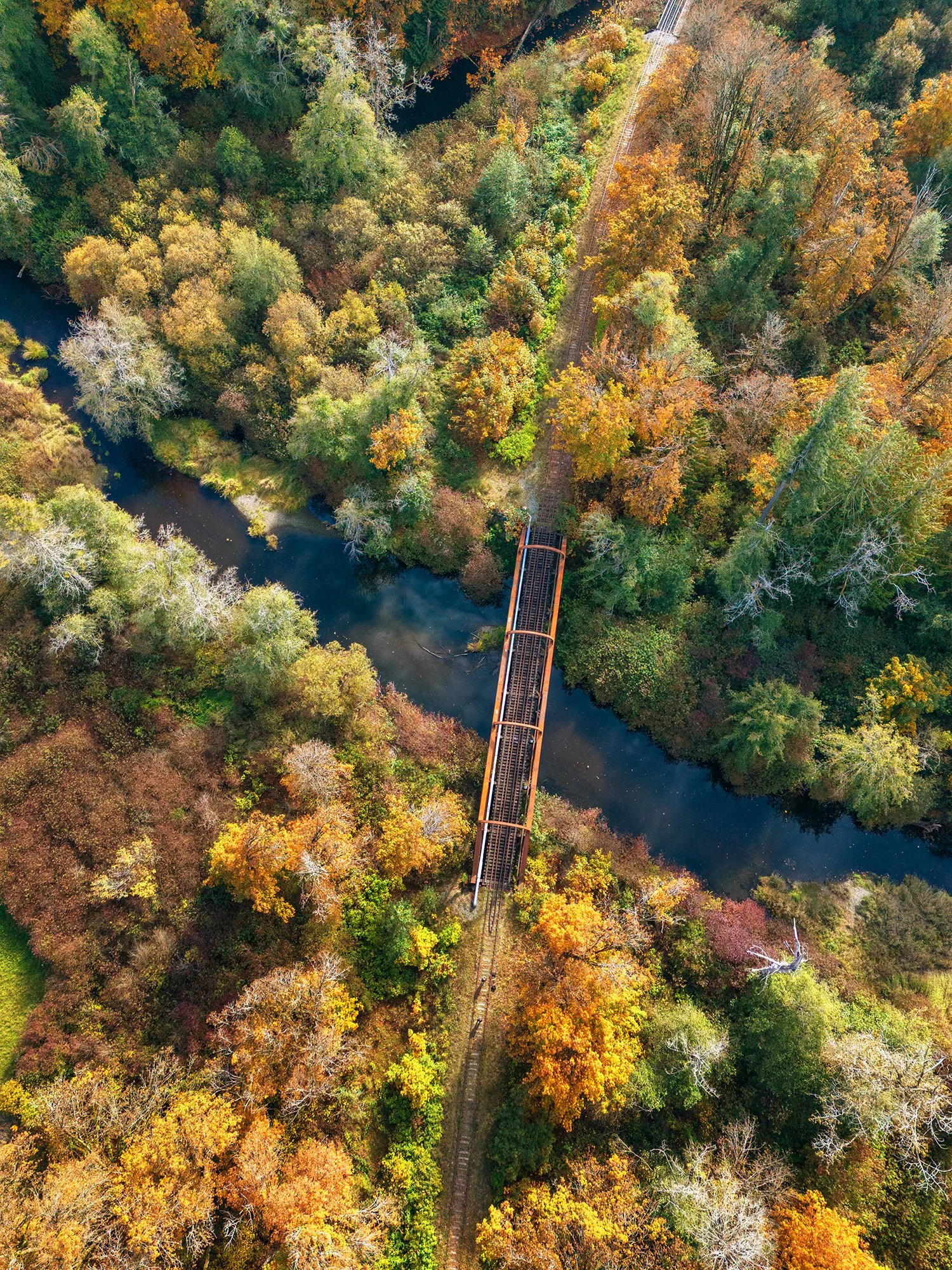 DJI_20241013133516_0337_D.jpg