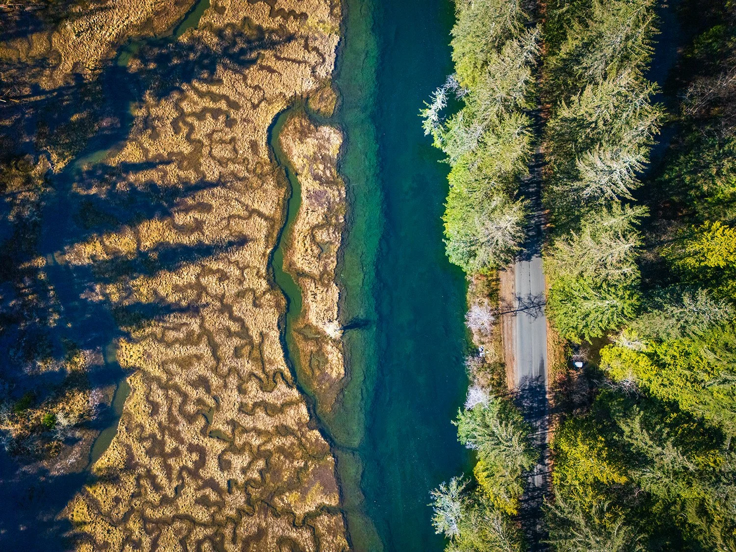 DJI_20260301110619_0210_D.jpg