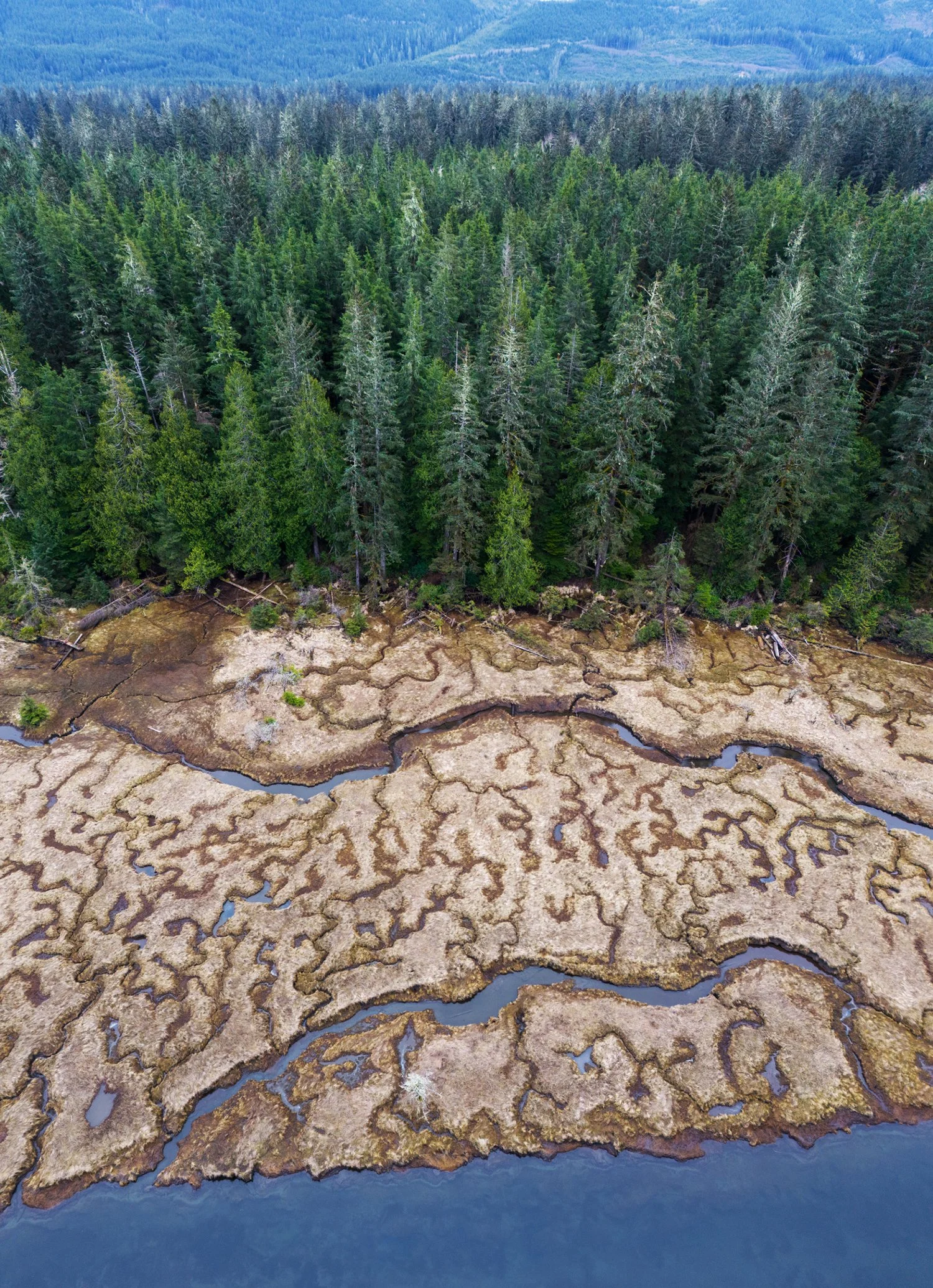 port renfrew.jpg