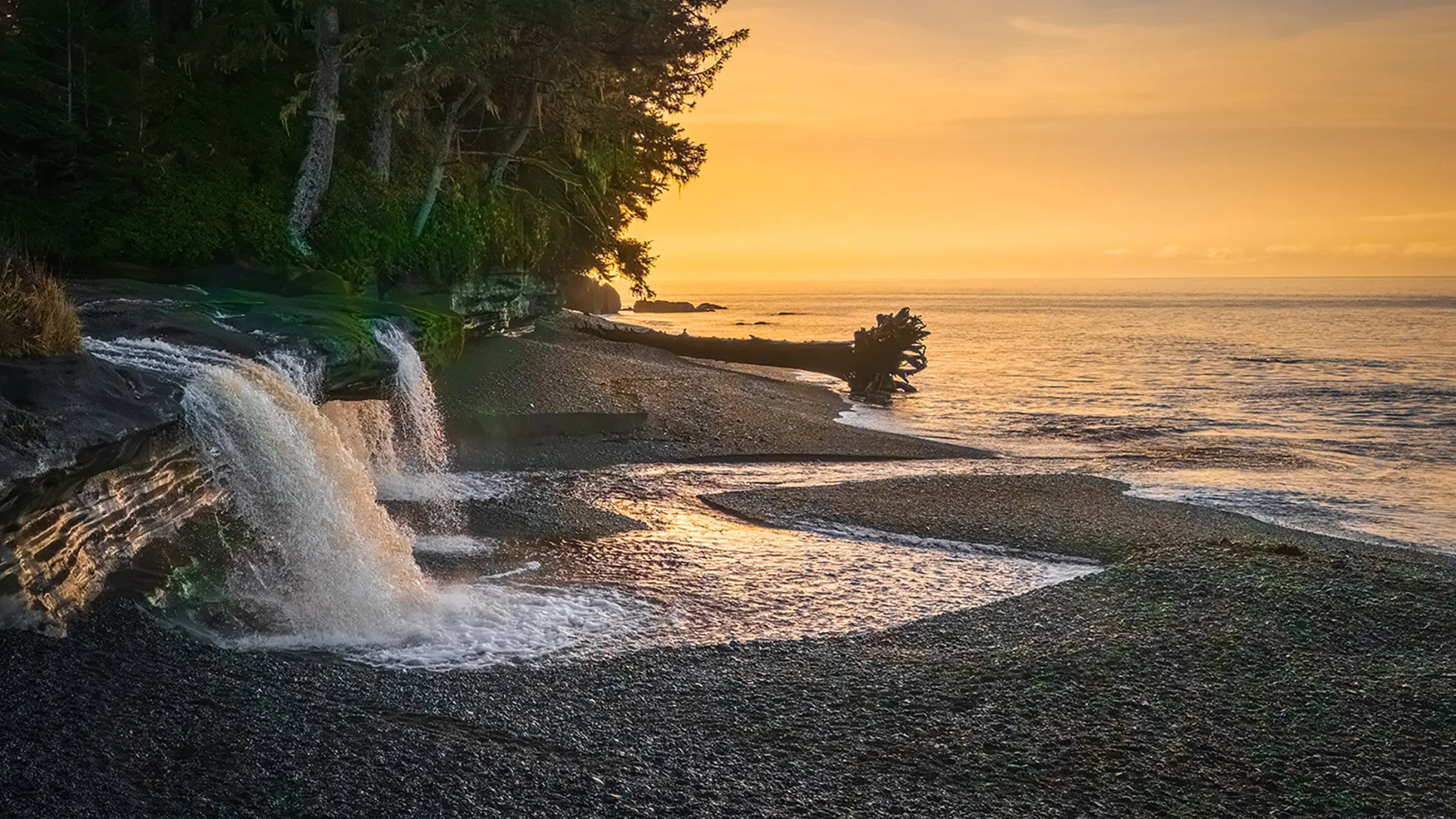 DJI_20260208091238_0424_D-HDR.jpg
