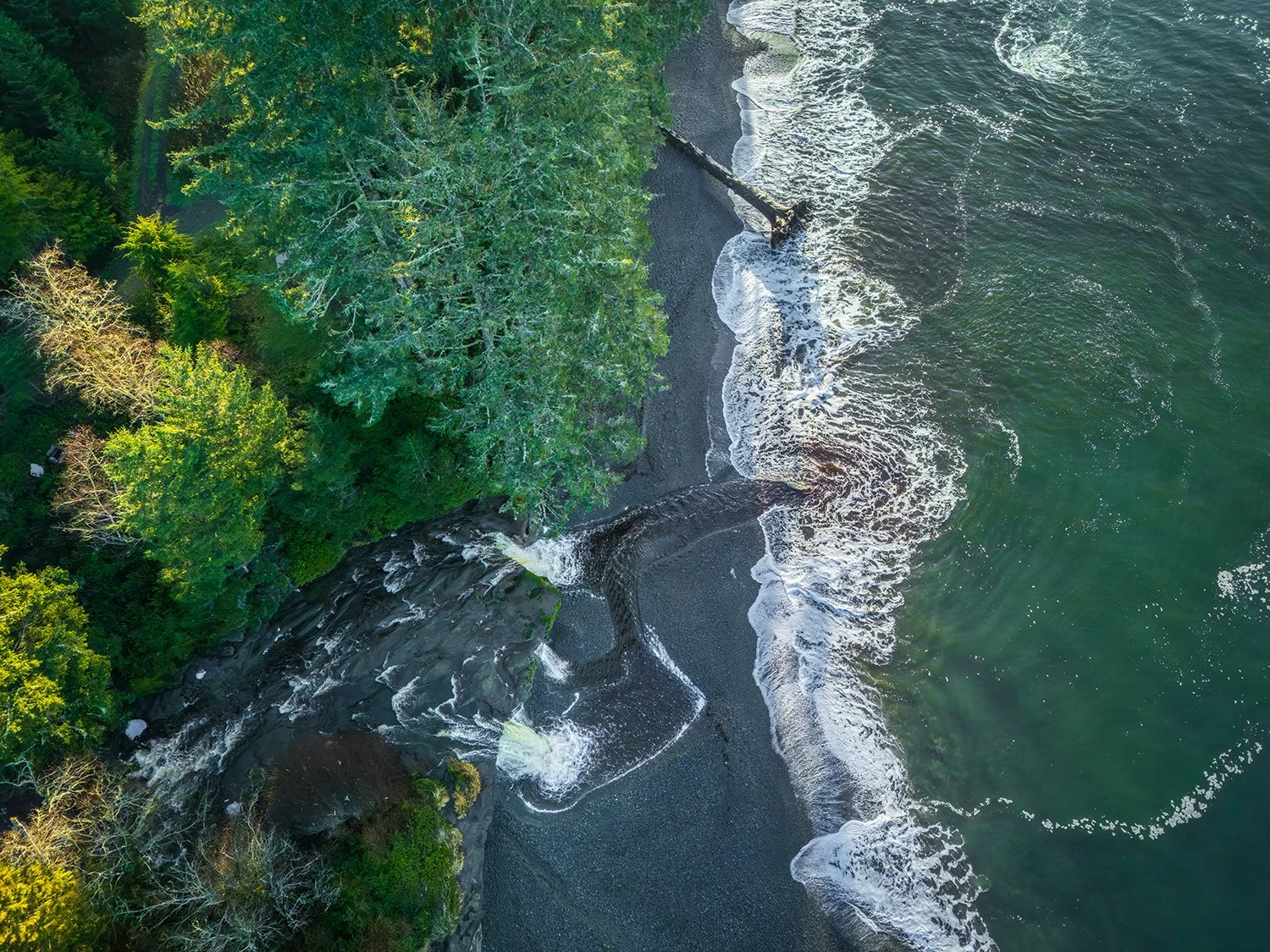 DJI_20260208091728_0434_D.jpg