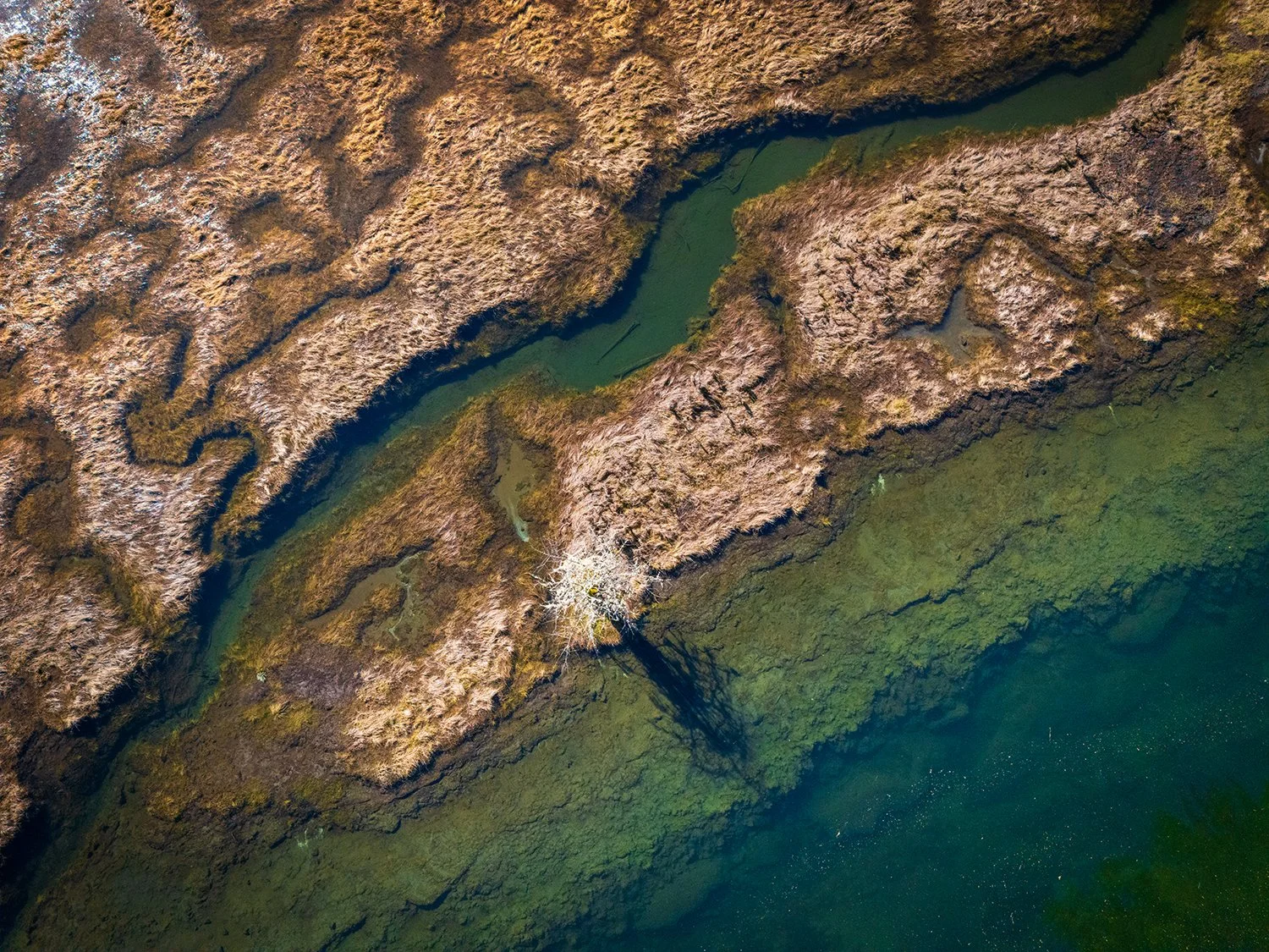 DJI_20260301110105_0190_D.jpg